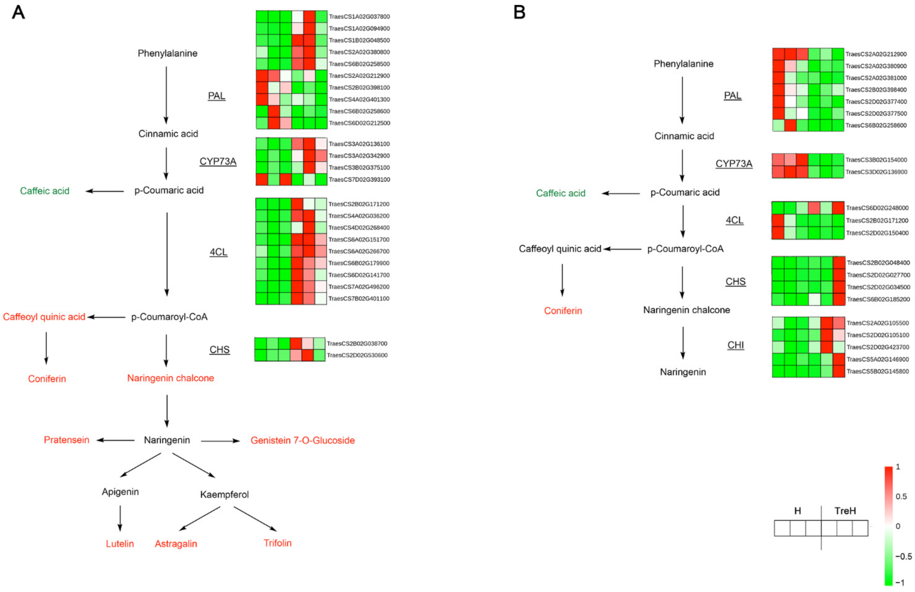 Ijms 23 05194 g012 Ijms 23 05194 g012