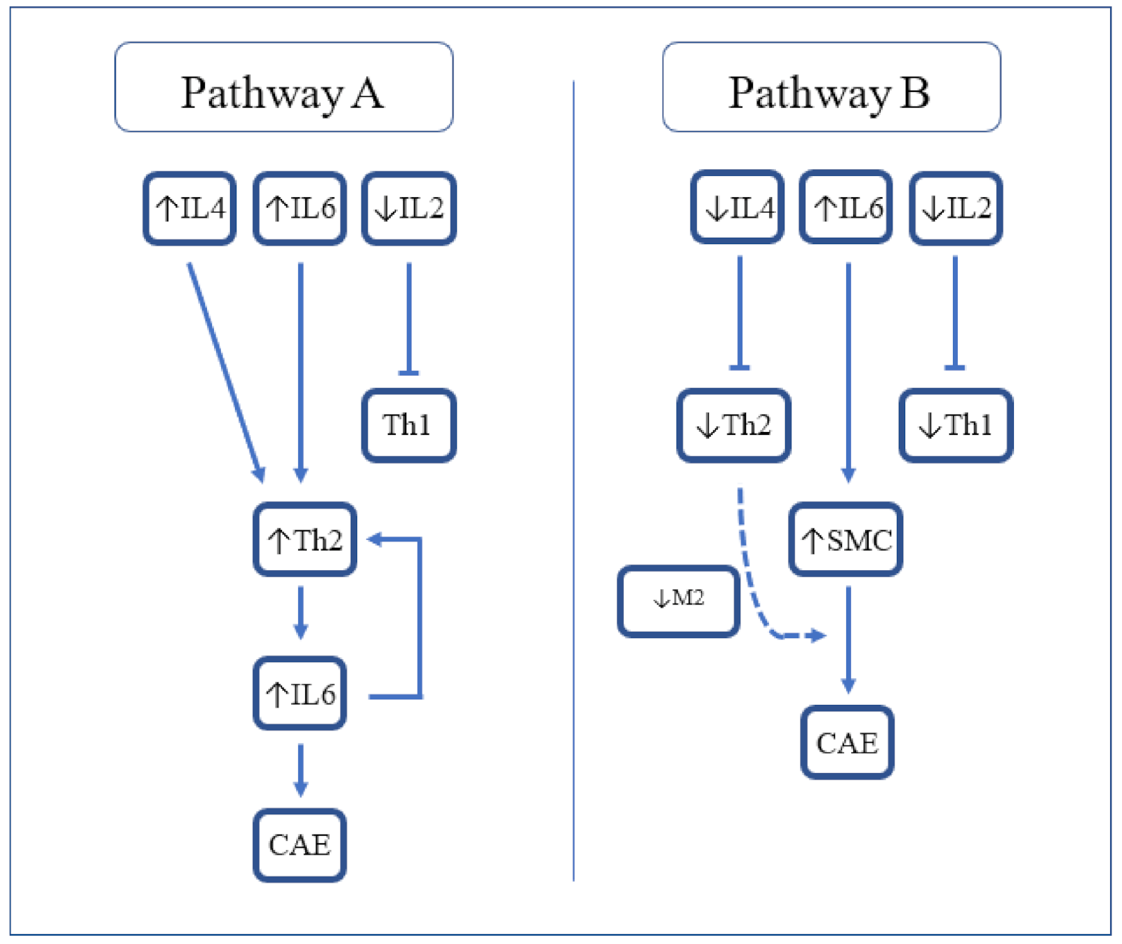 Ijms 23 05195 g001 Ijms 23 05195 g001