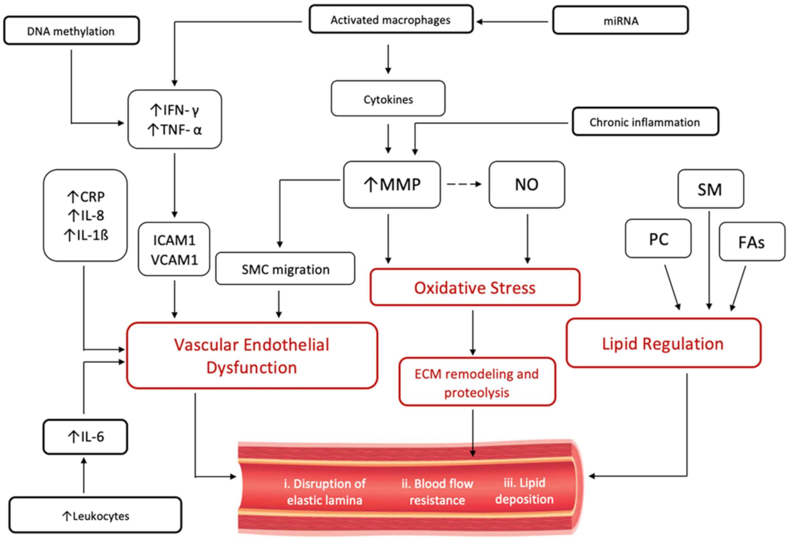 Ijms 23 05195 g002 Ijms 23 05195 g002