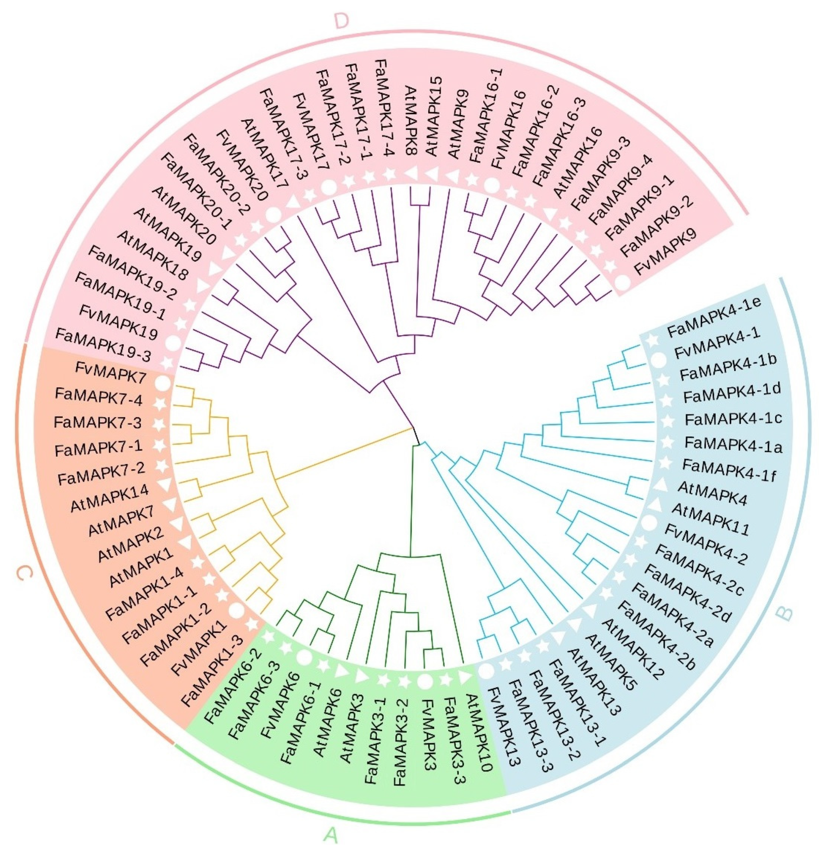 Ijms 23 05201 g002 550