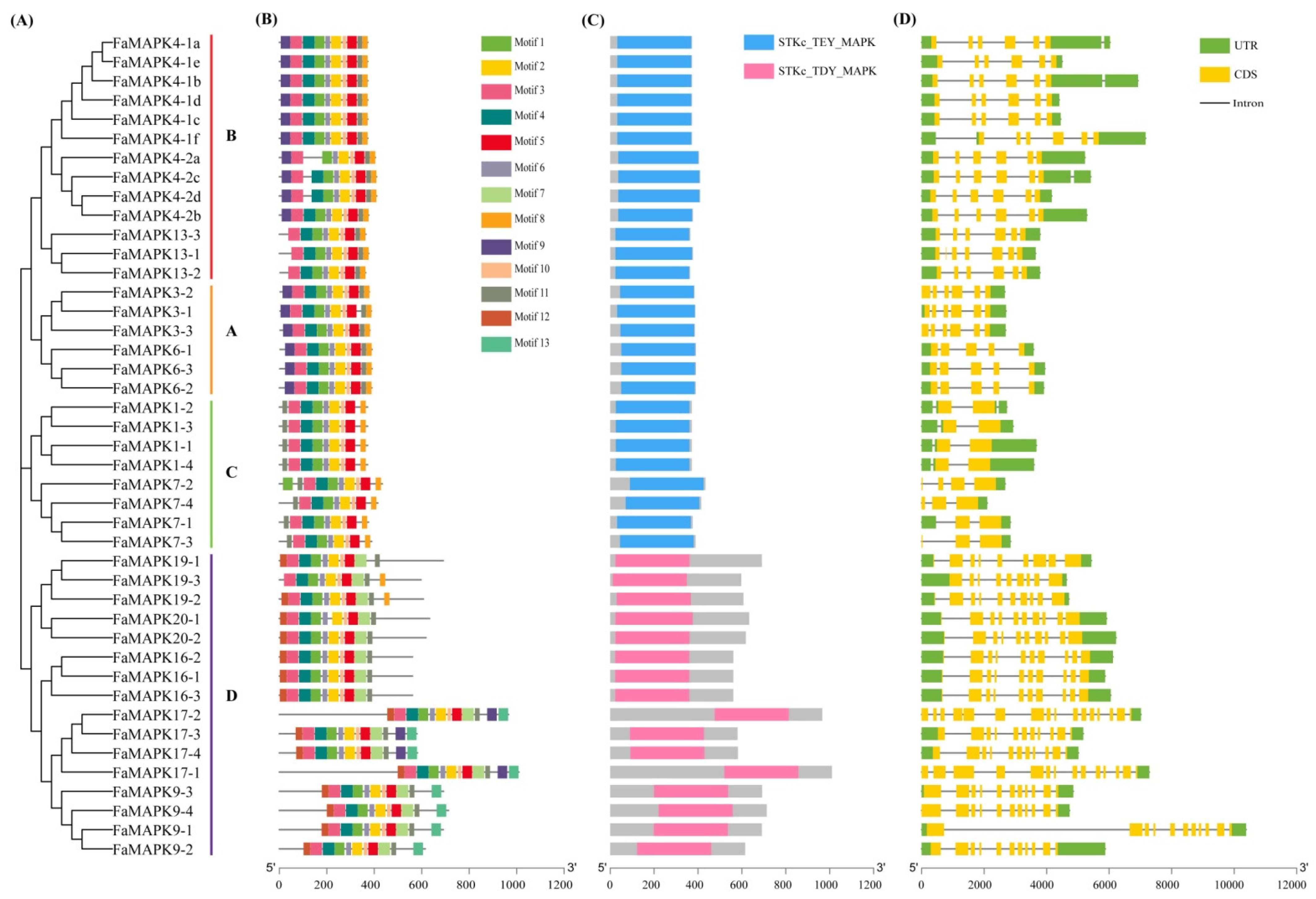 Ijms 23 05201 g003 550