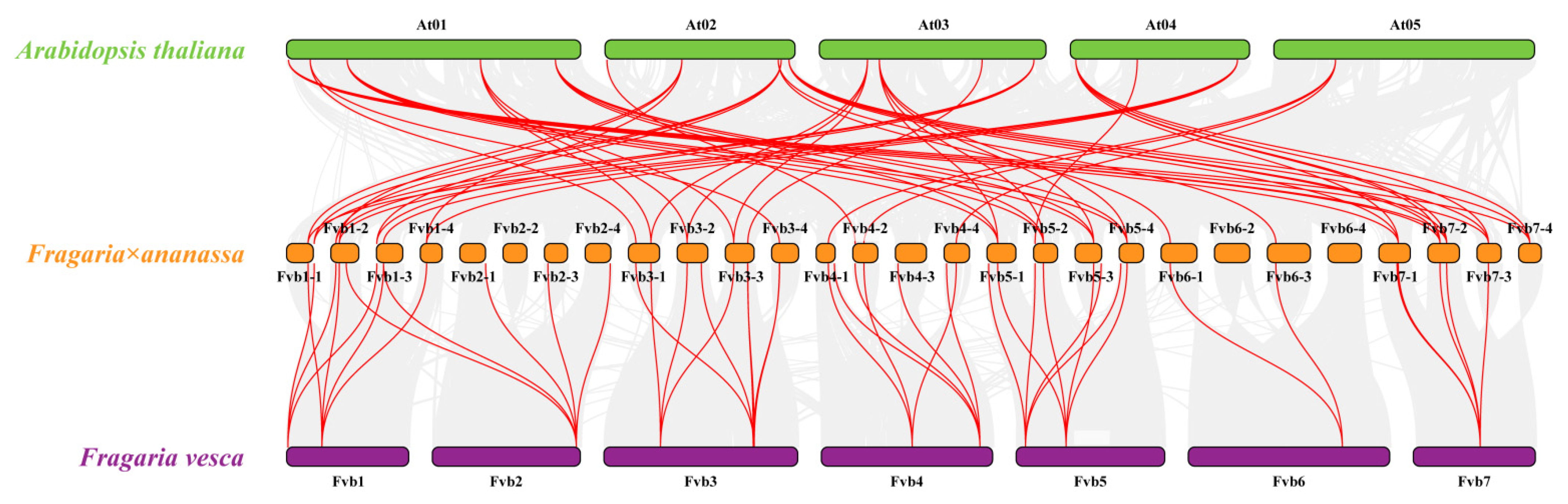 Ijms 23 05201 g005 550