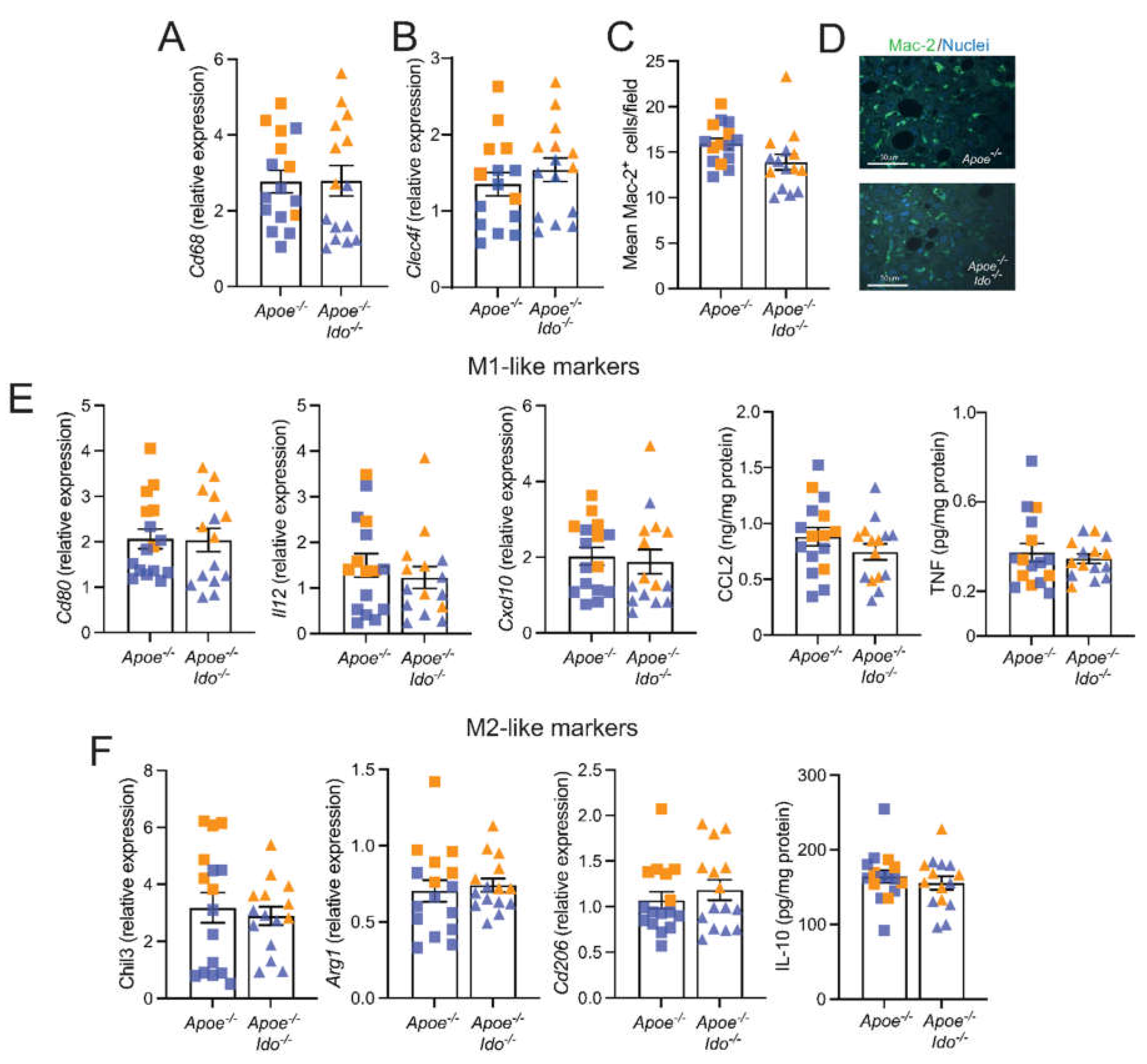 Ijms 23 05203 g003 550