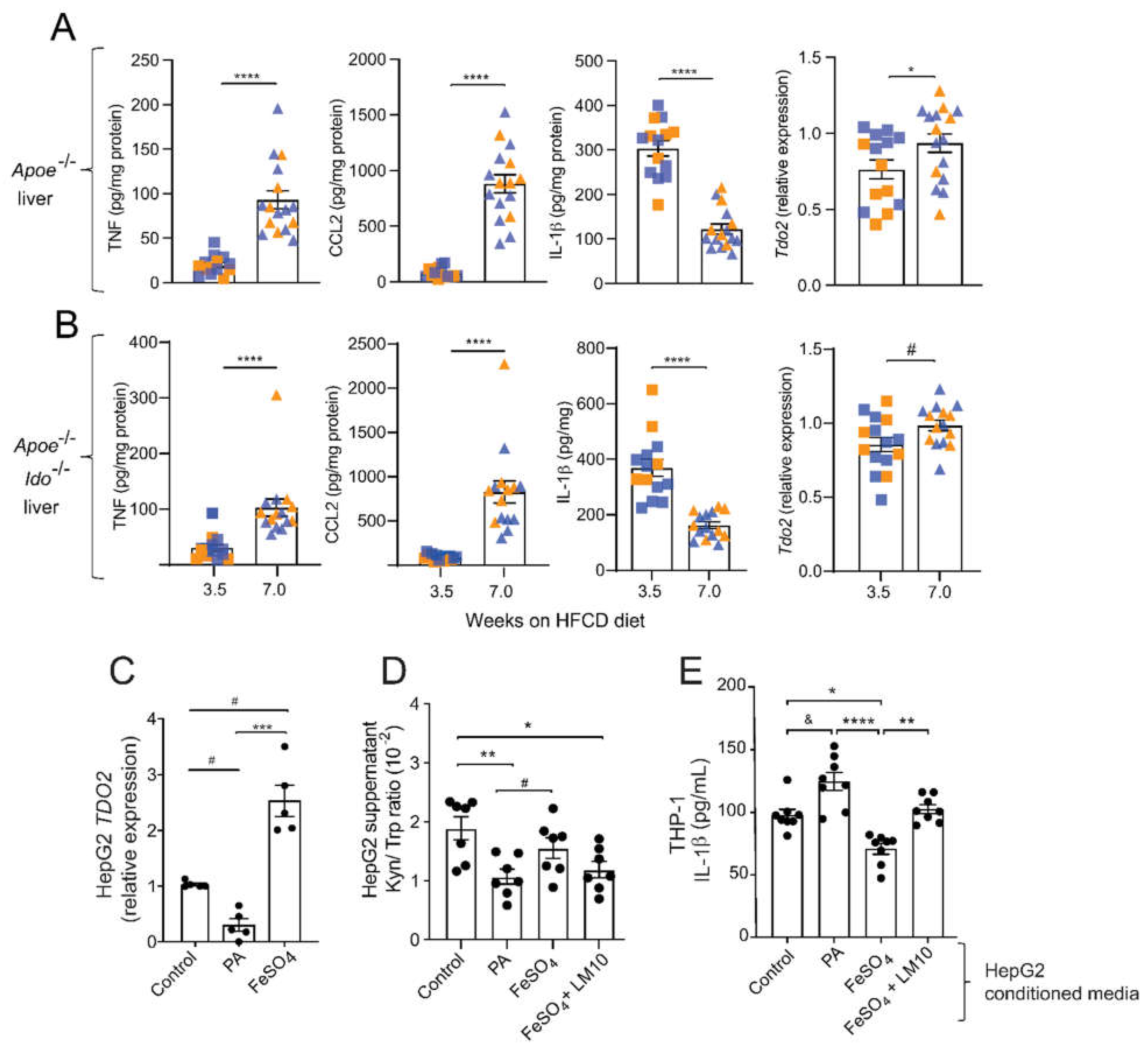Ijms 23 05203 g005 550