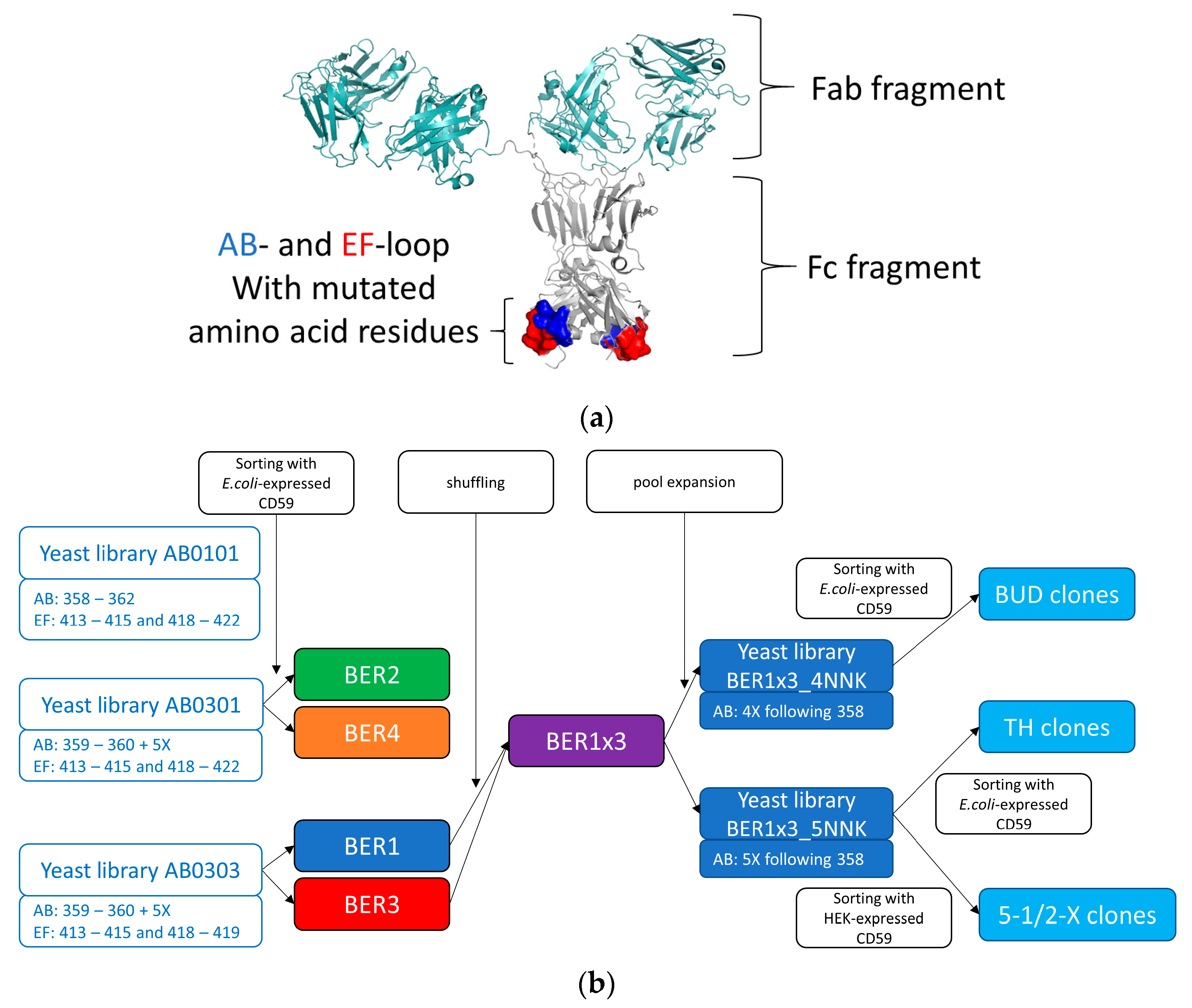 Ijms 23 05208 g001 550