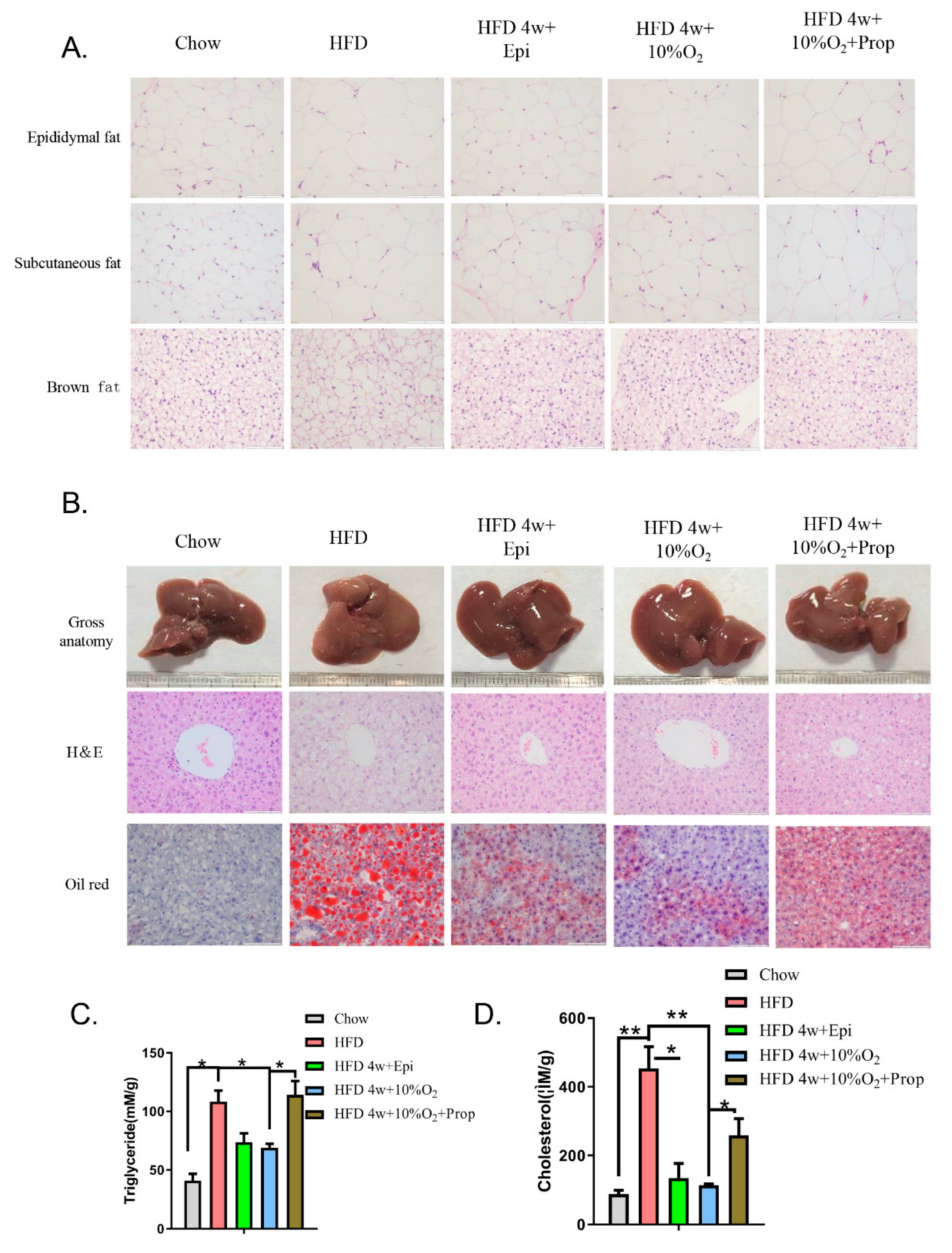 Ijms 23 05209 g005 550