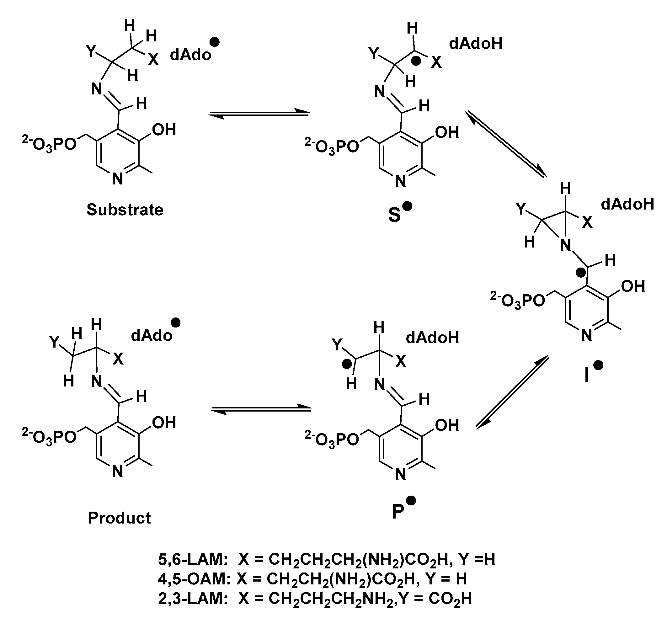 Ijms 23 05210 sch001