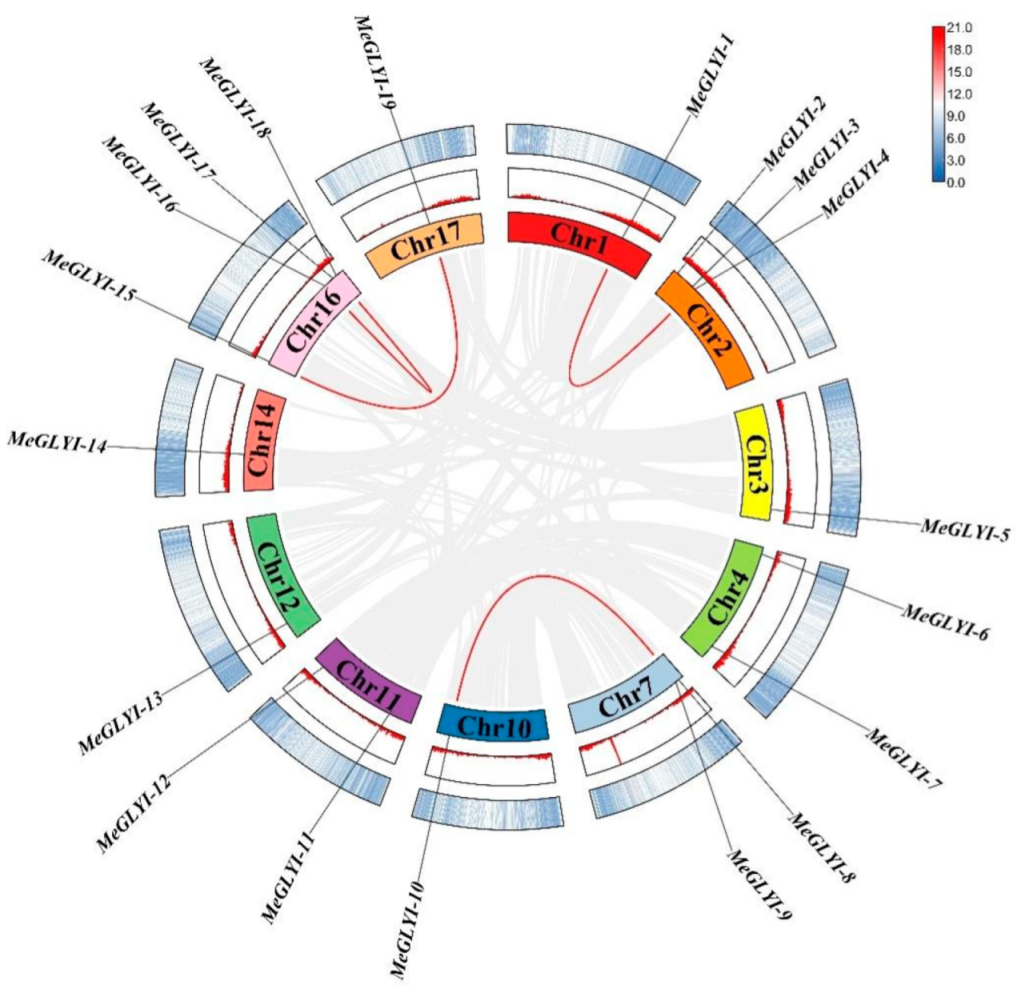 mocoaloha様 テオ໒꒱*☆🎀黒MAJO WIG販売中→BOOTH on X: 