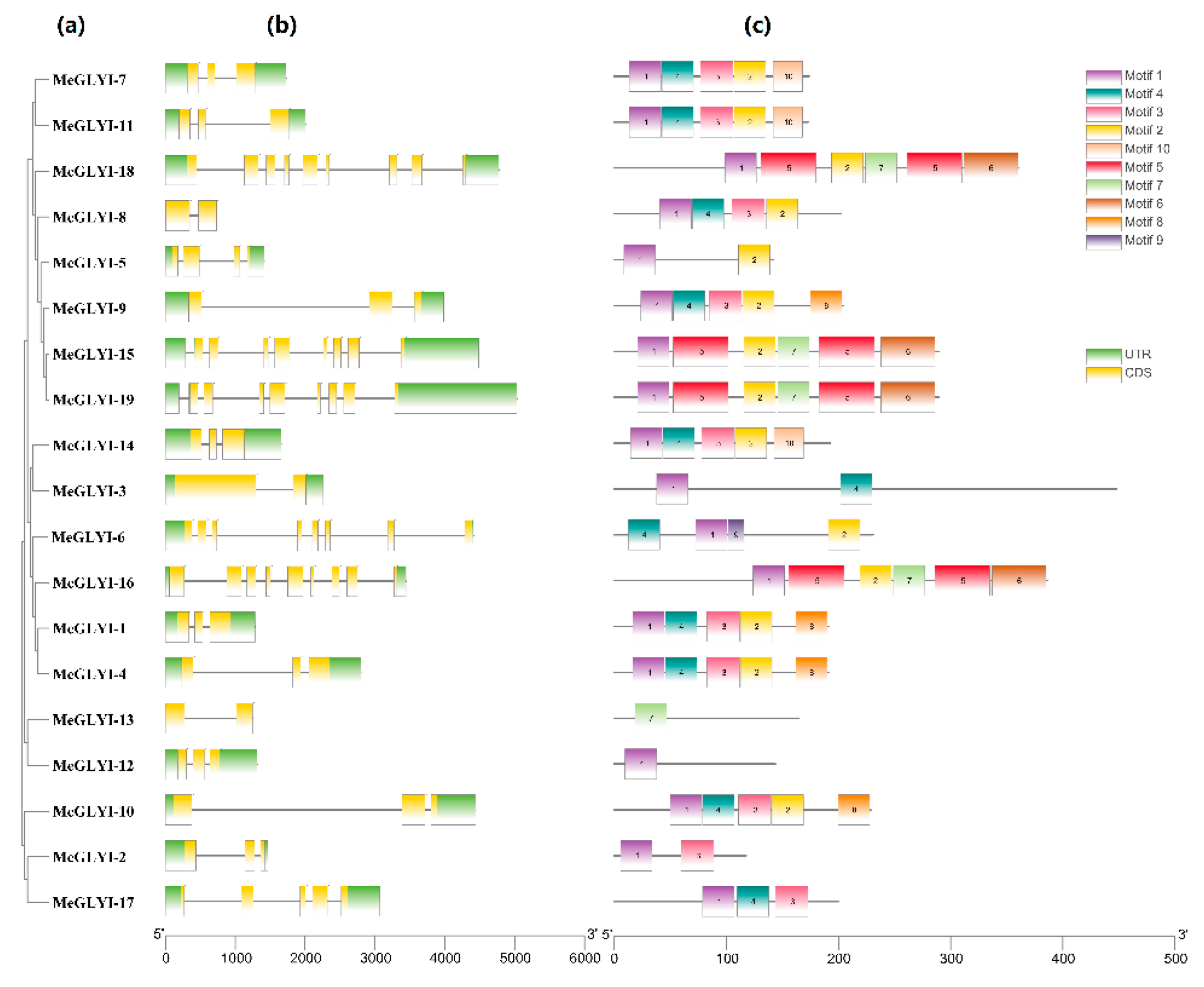 Ijms 23 05212 g003 550