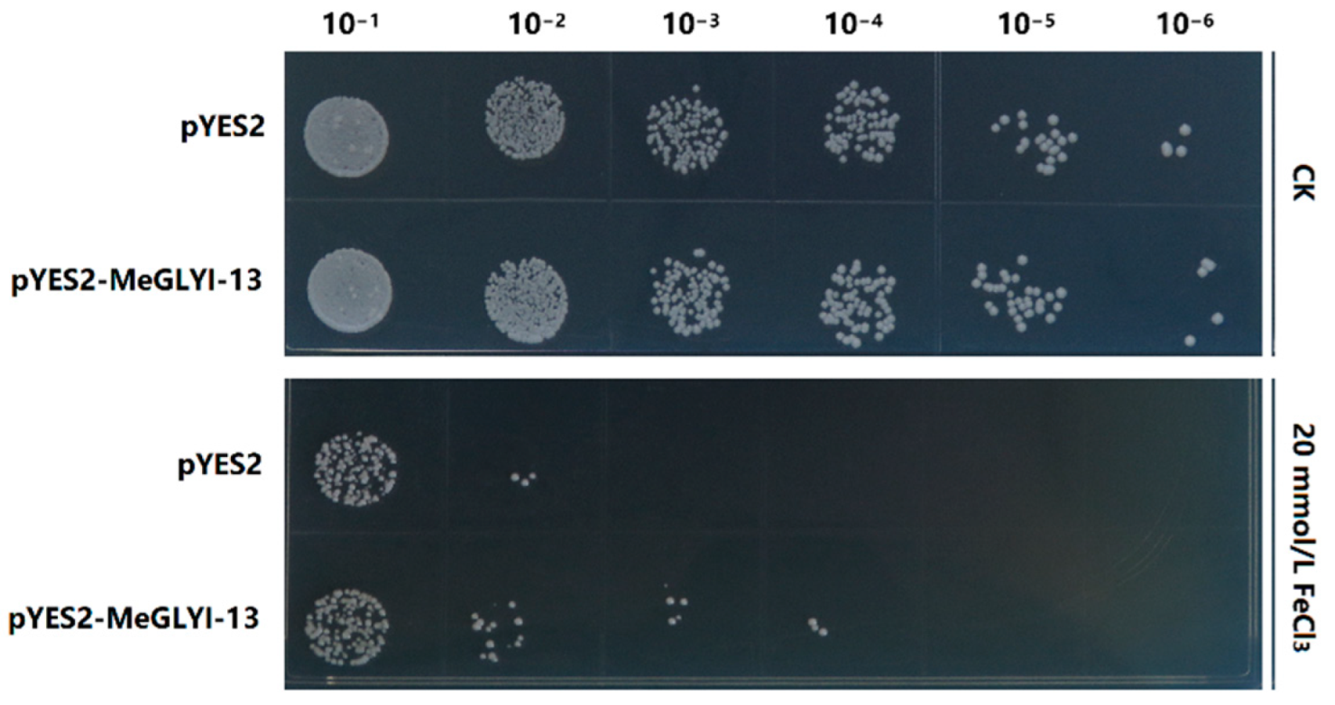 Ijms 23 05212 g006 550