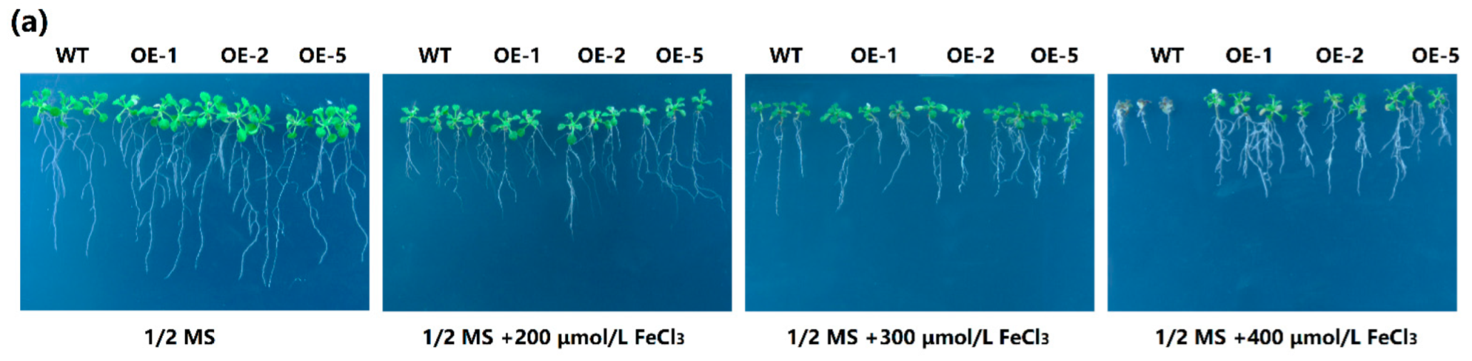 Ijms 23 05212 g007a 550