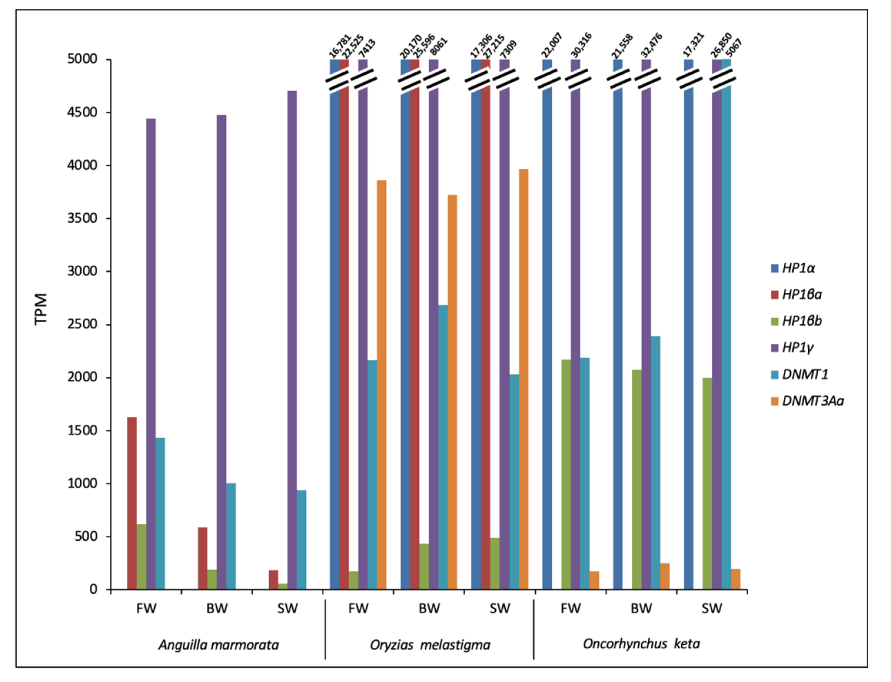 Ijms 23 05215 g003 550