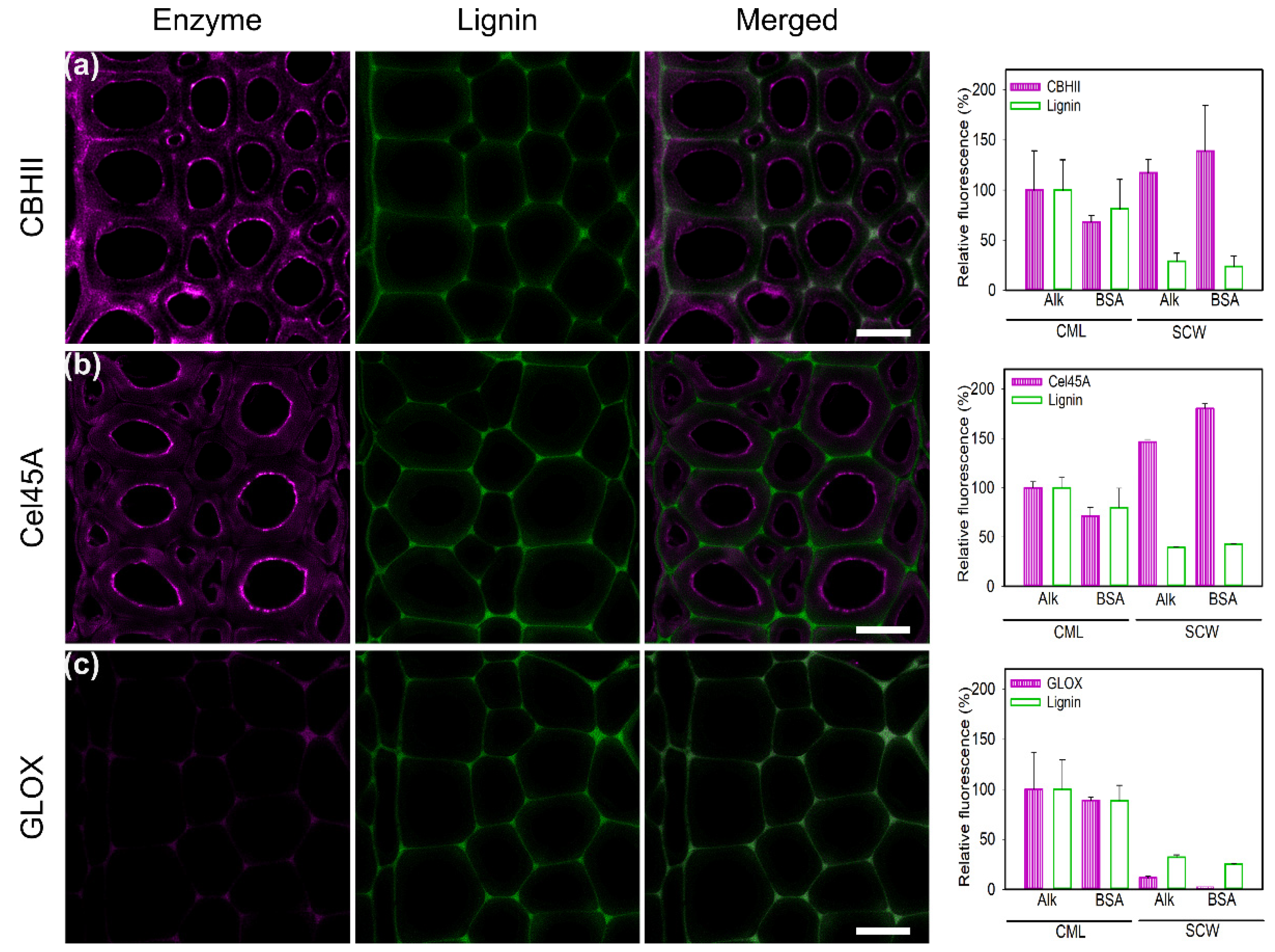 Ijms 23 05216 g005 550