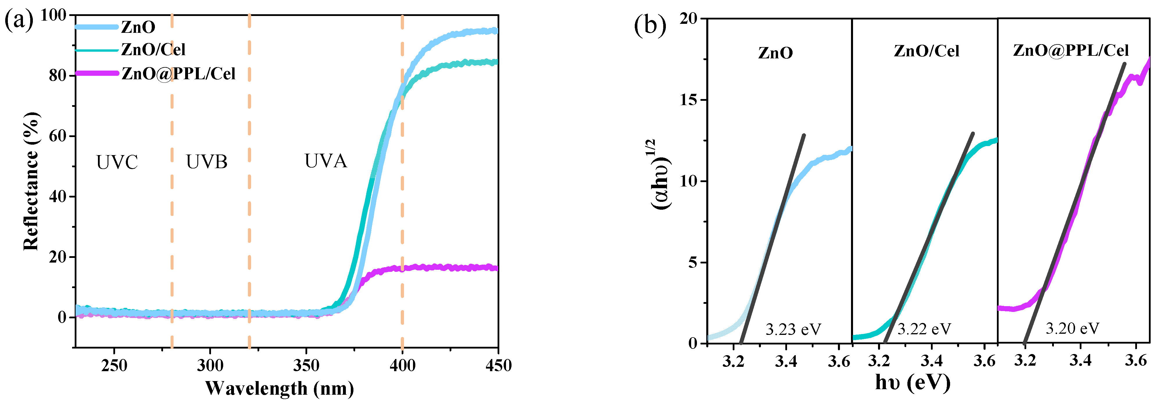 Ijms 23 05218 g005 550