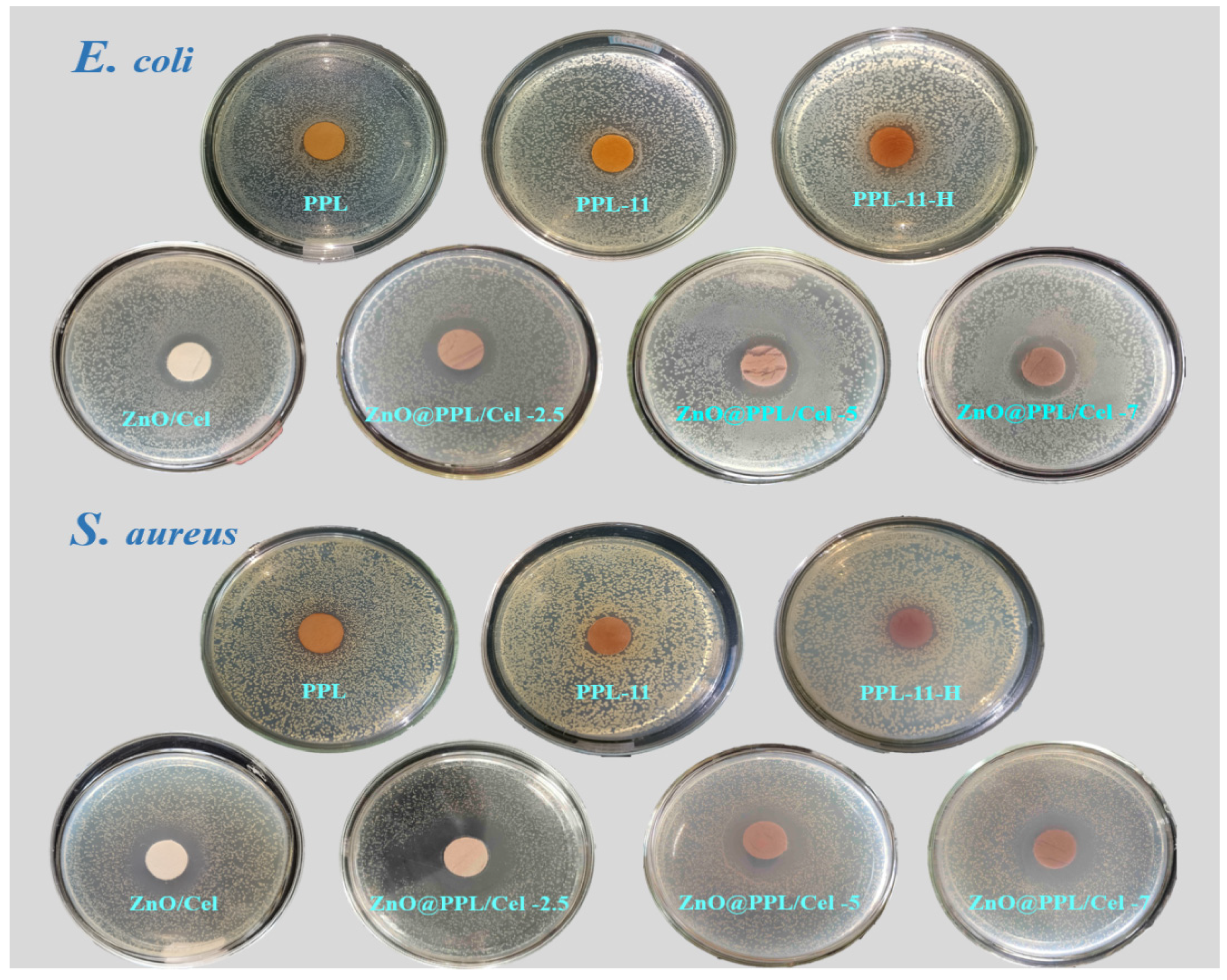 Ijms 23 05218 g008 550