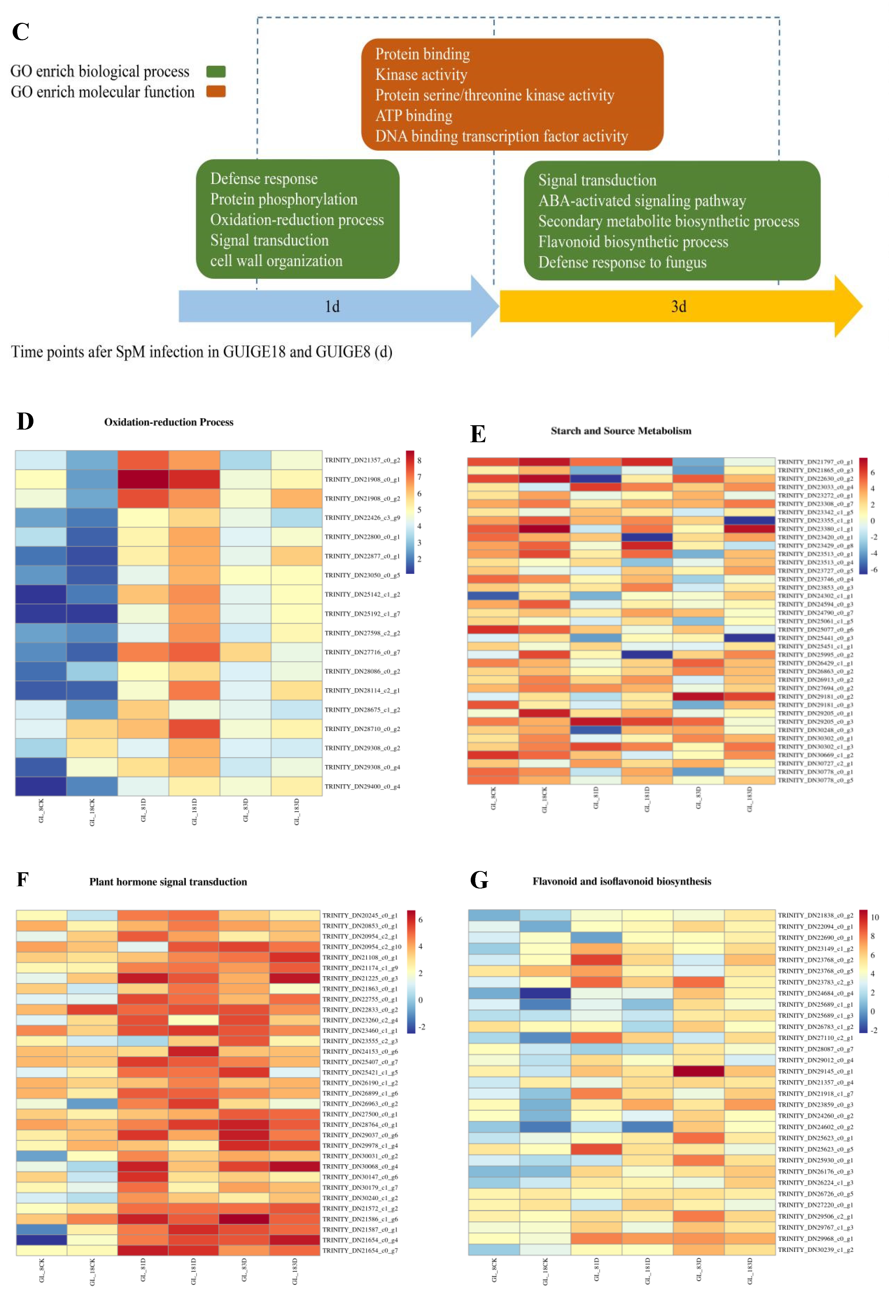 Ijms 23 05223 g003b 550