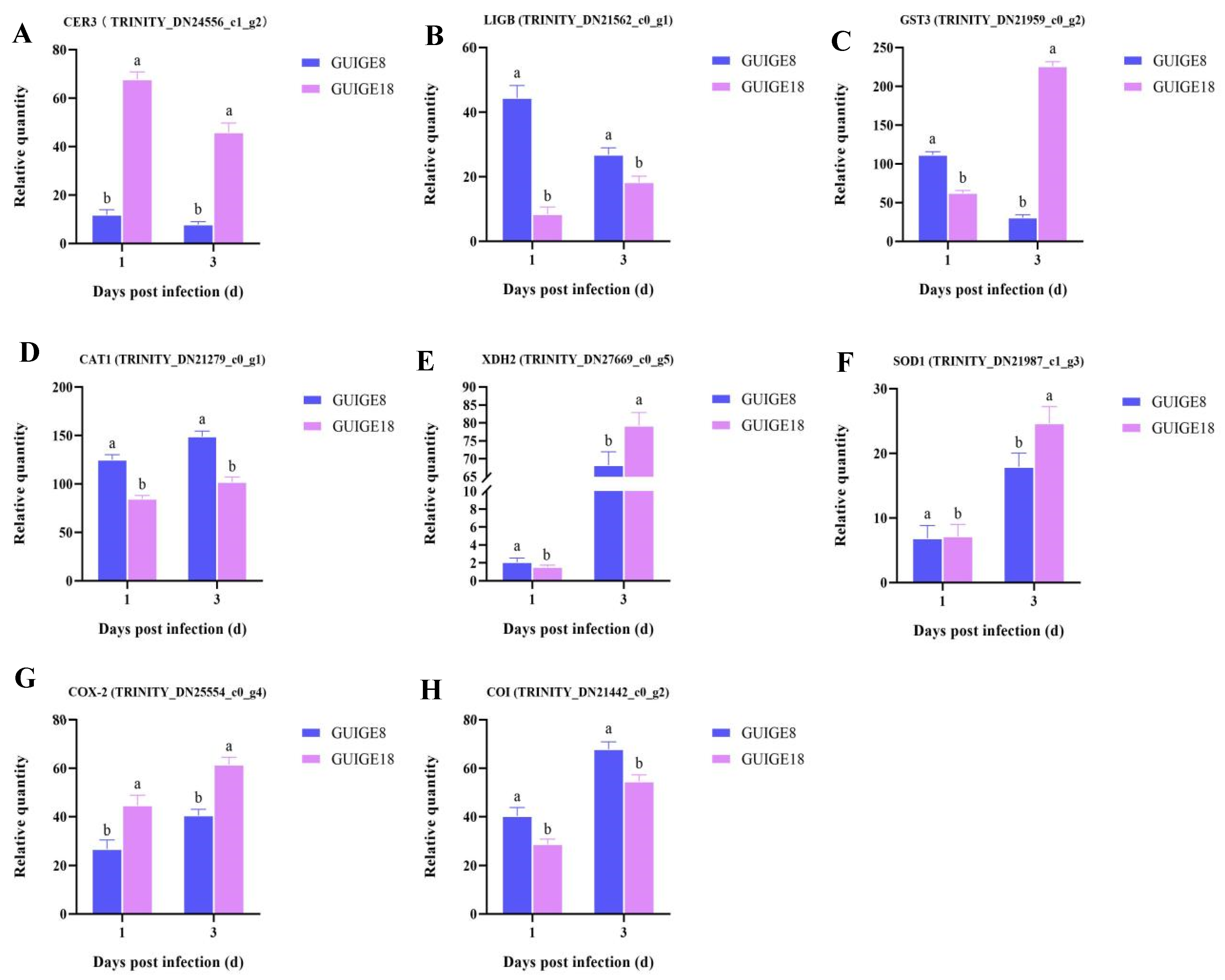 Ijms 23 05223 g006 550