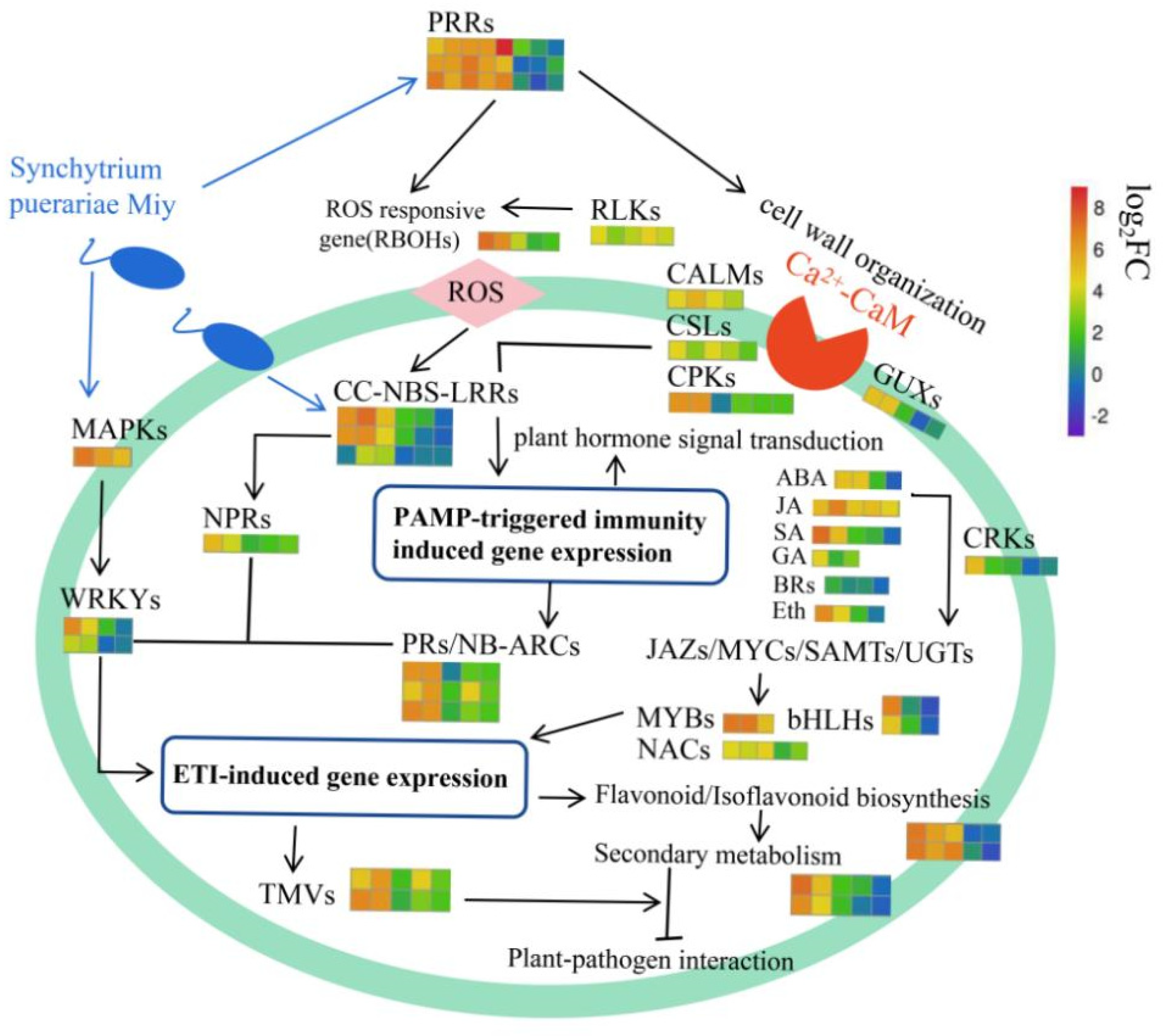 Ijms 23 05223 g012 550