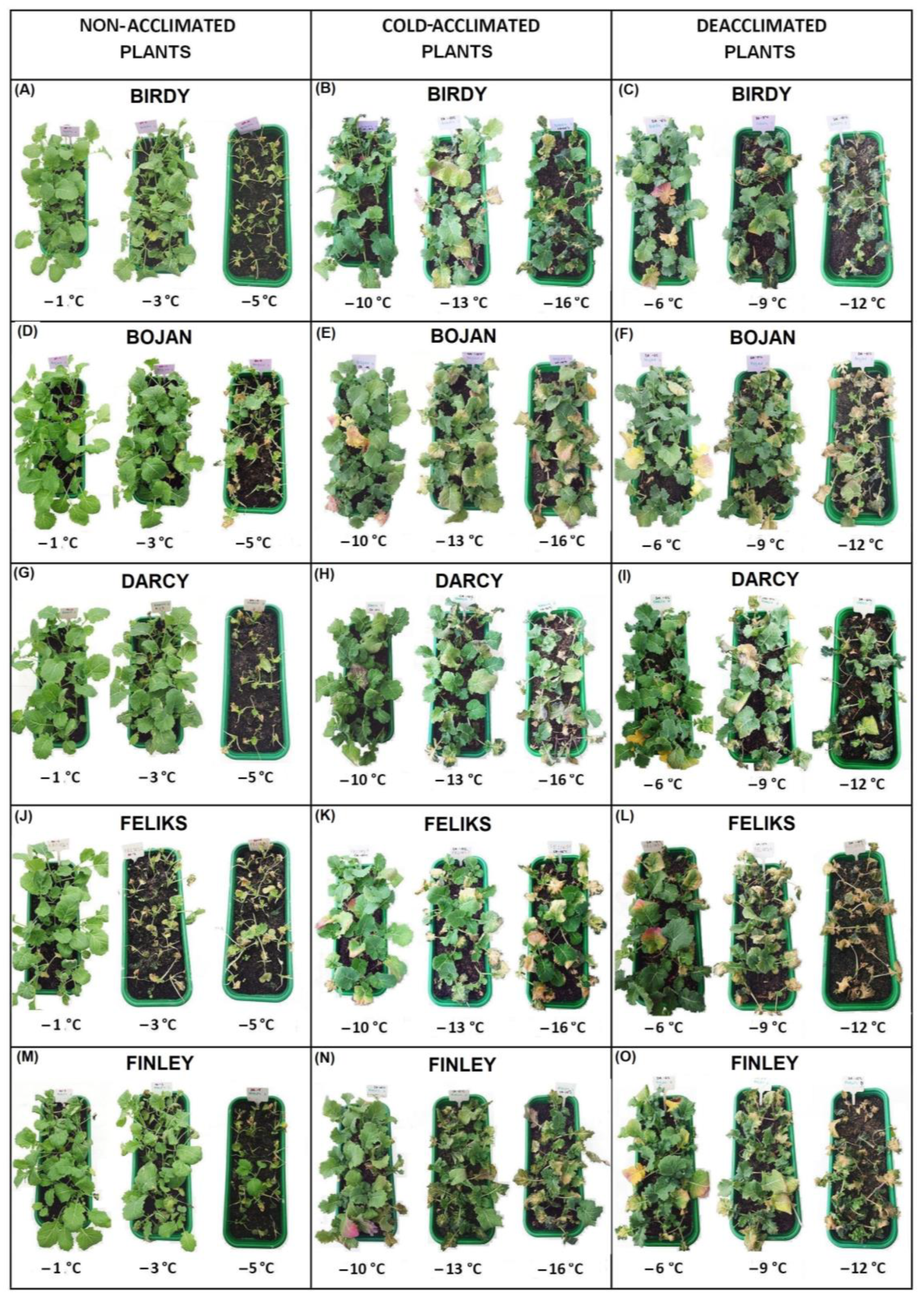 Ijms 23 05224 g002 550