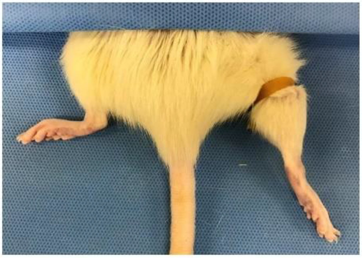 Ijms 23 05234 g003 Ijms 23 05234 g003