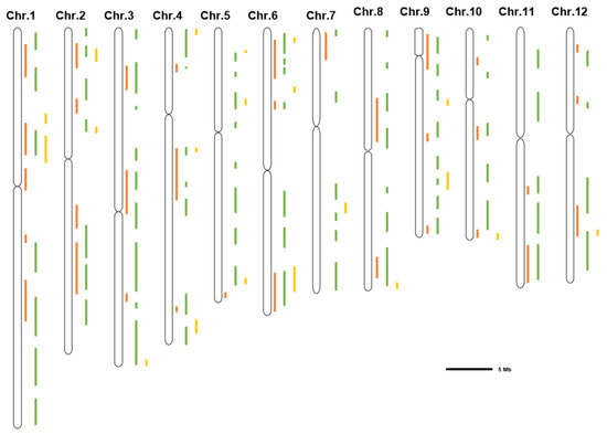 Integrated Multi-Omics Perspective to Strengthen the