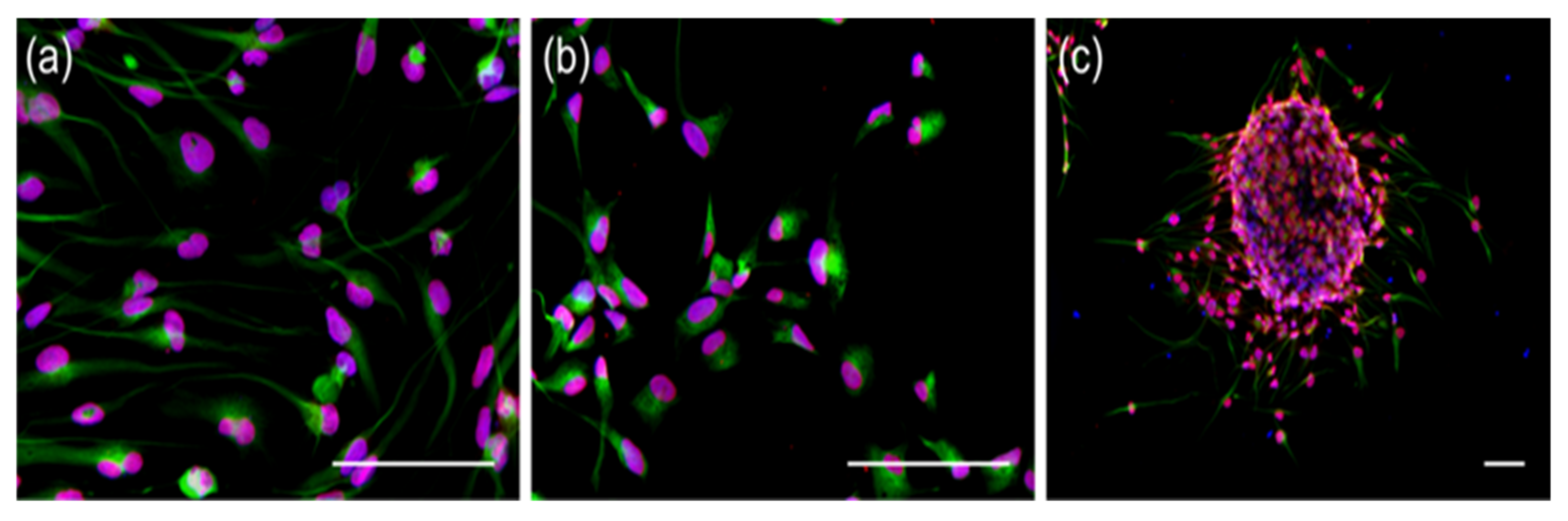 Ijms 23 05238 g001 550