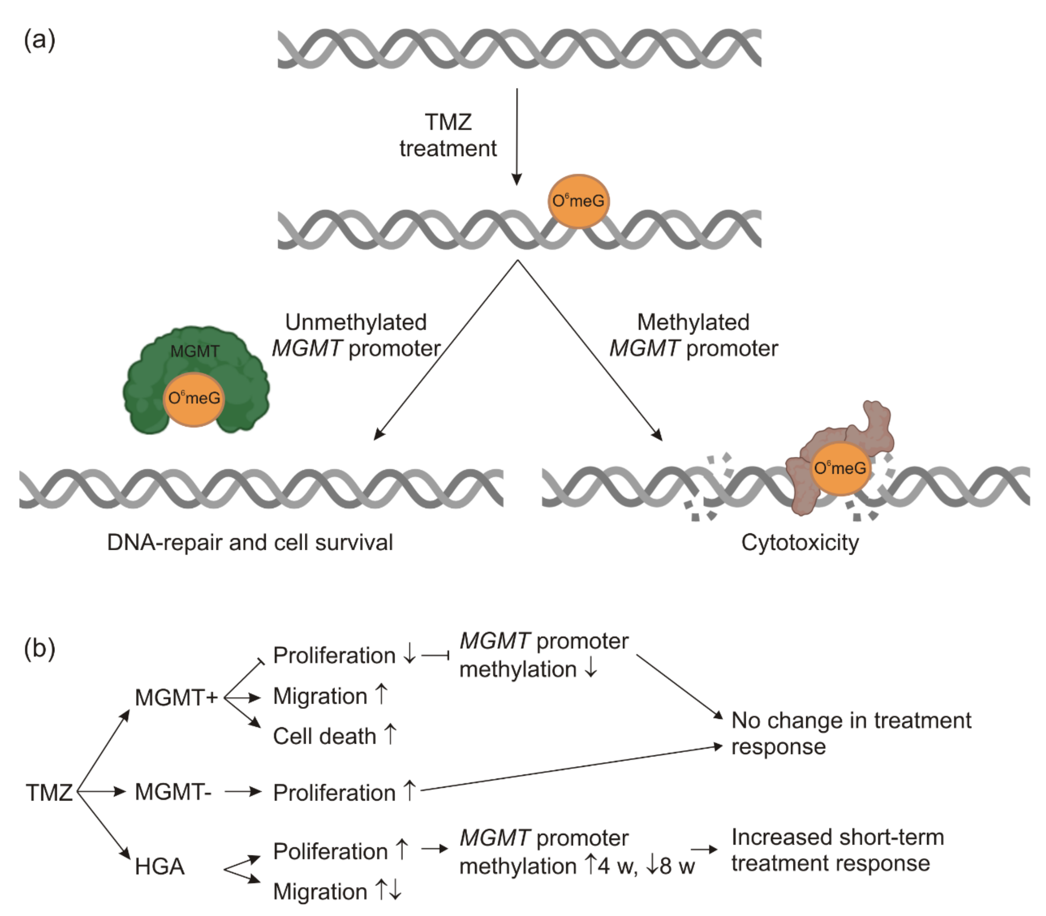Ijms 23 05238 g005 550