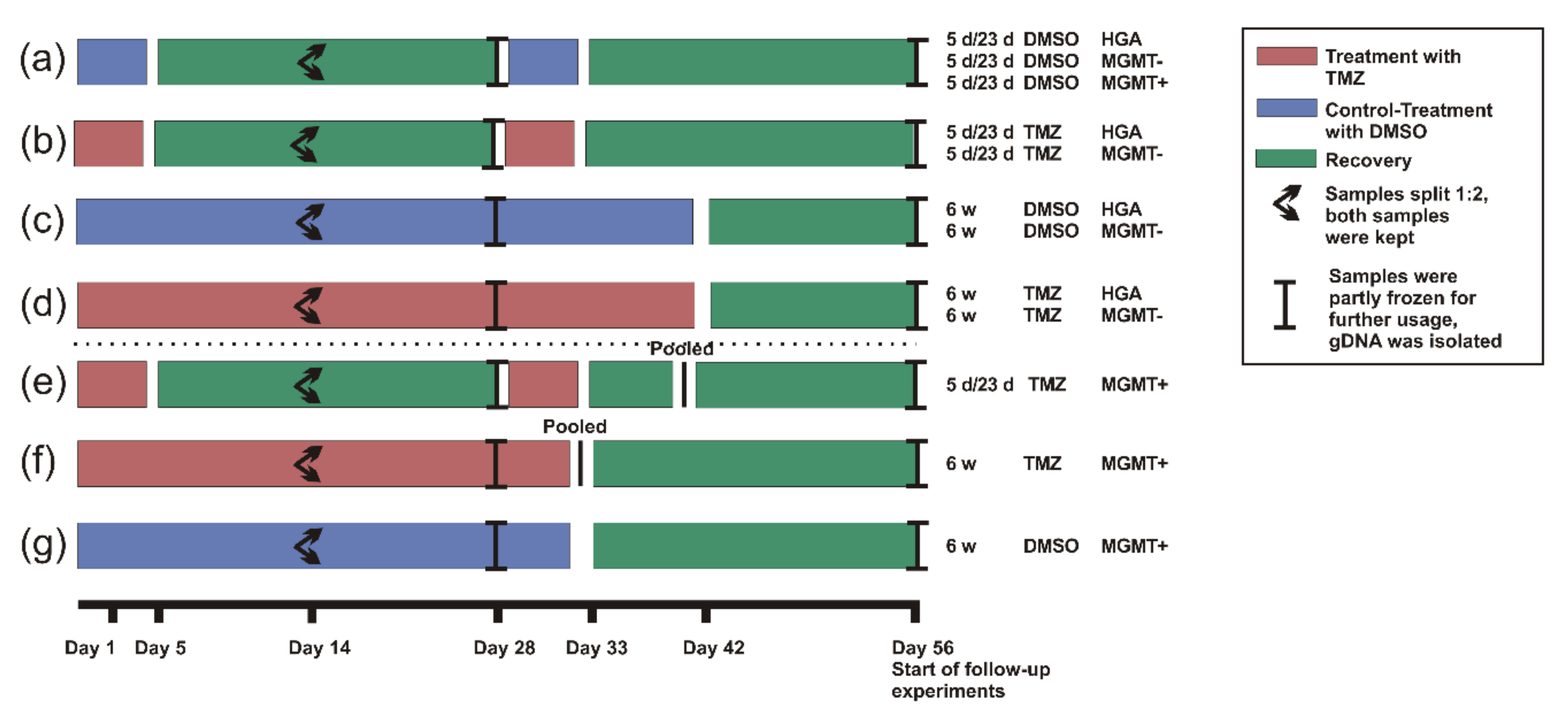 Ijms 23 05238 g006 550
