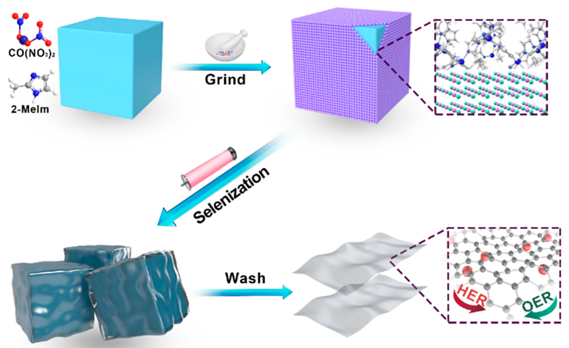 Ijms 23 05239 g001 550