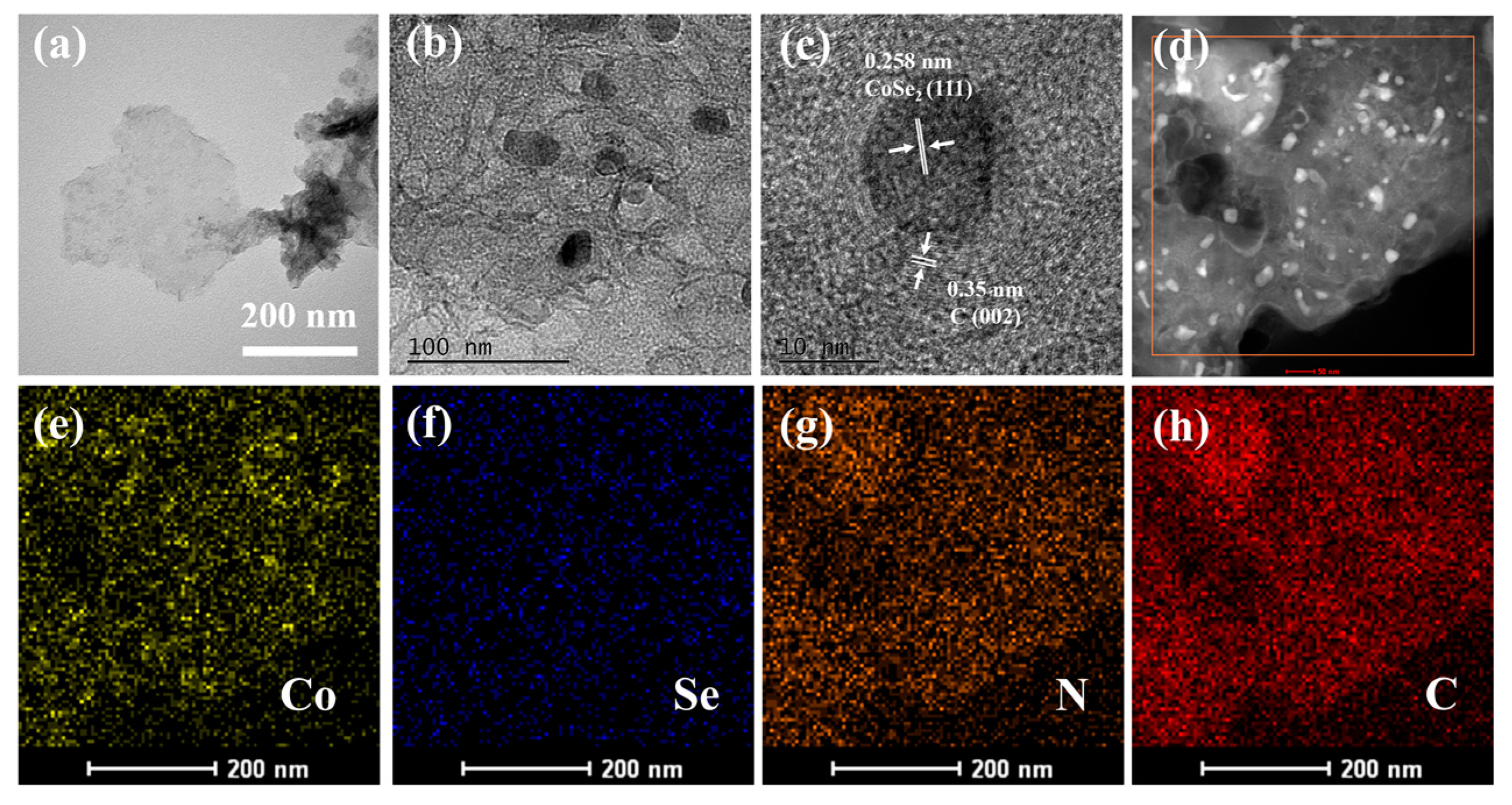 Ijms 23 05239 g003 550