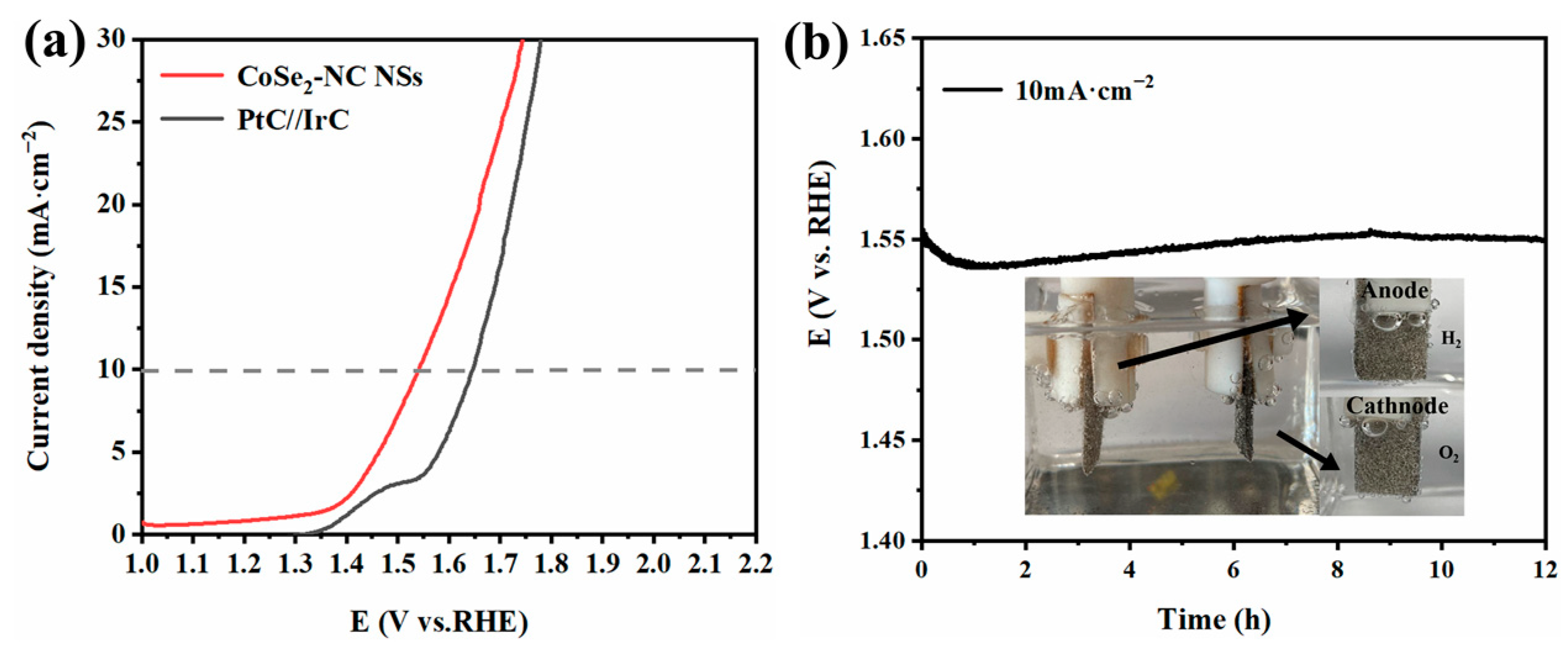 Ijms 23 05239 g007 550