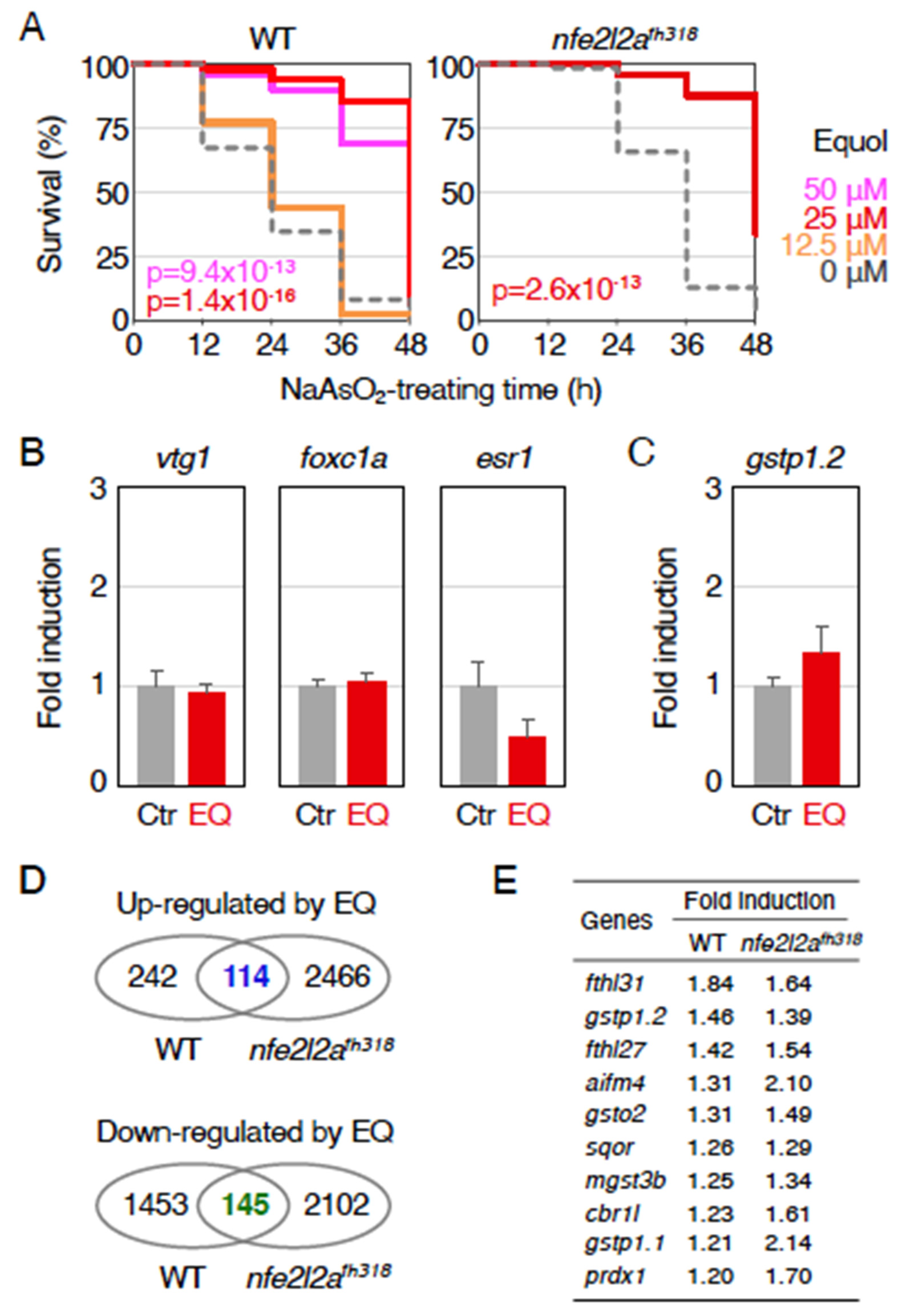 Ijms 23 05243 g002 550