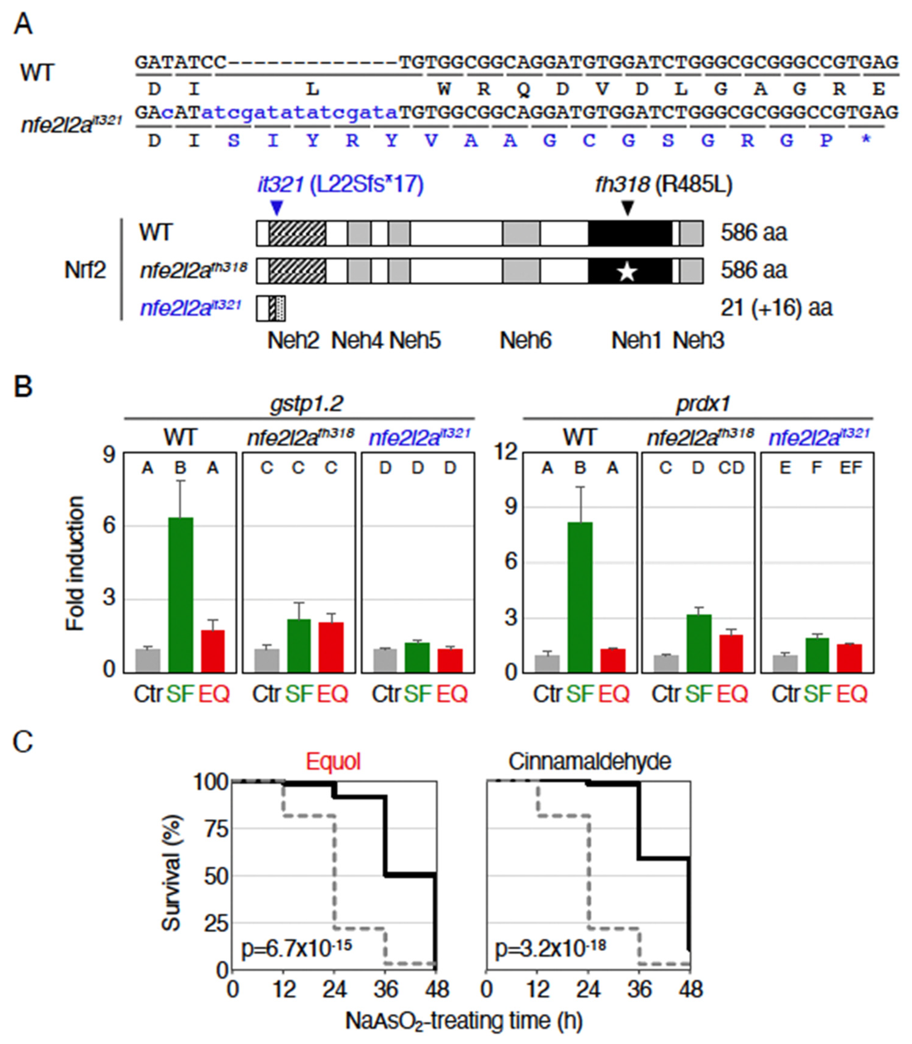 Ijms 23 05243 g003 550