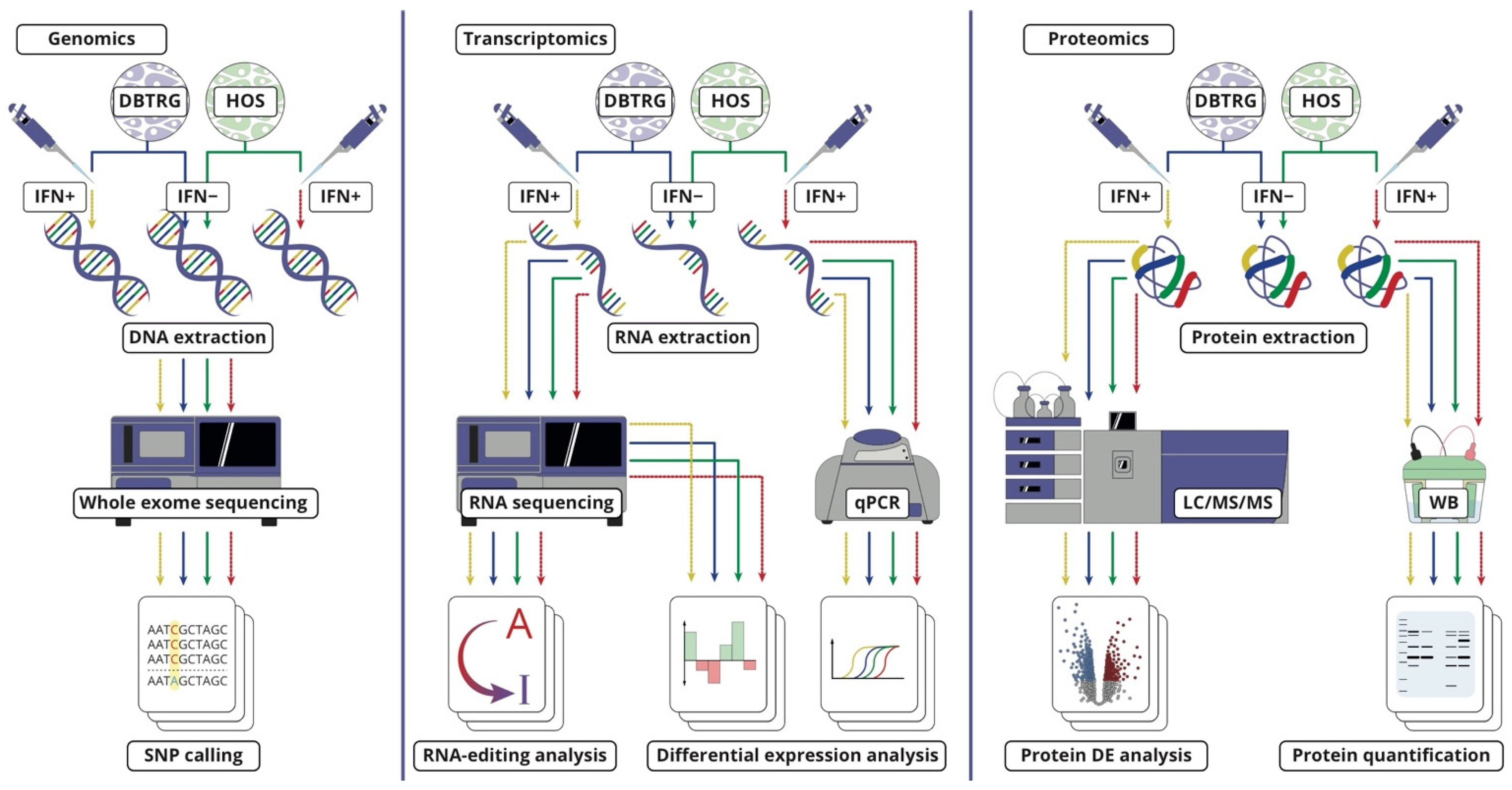 Ijms 23 05244 g002 550