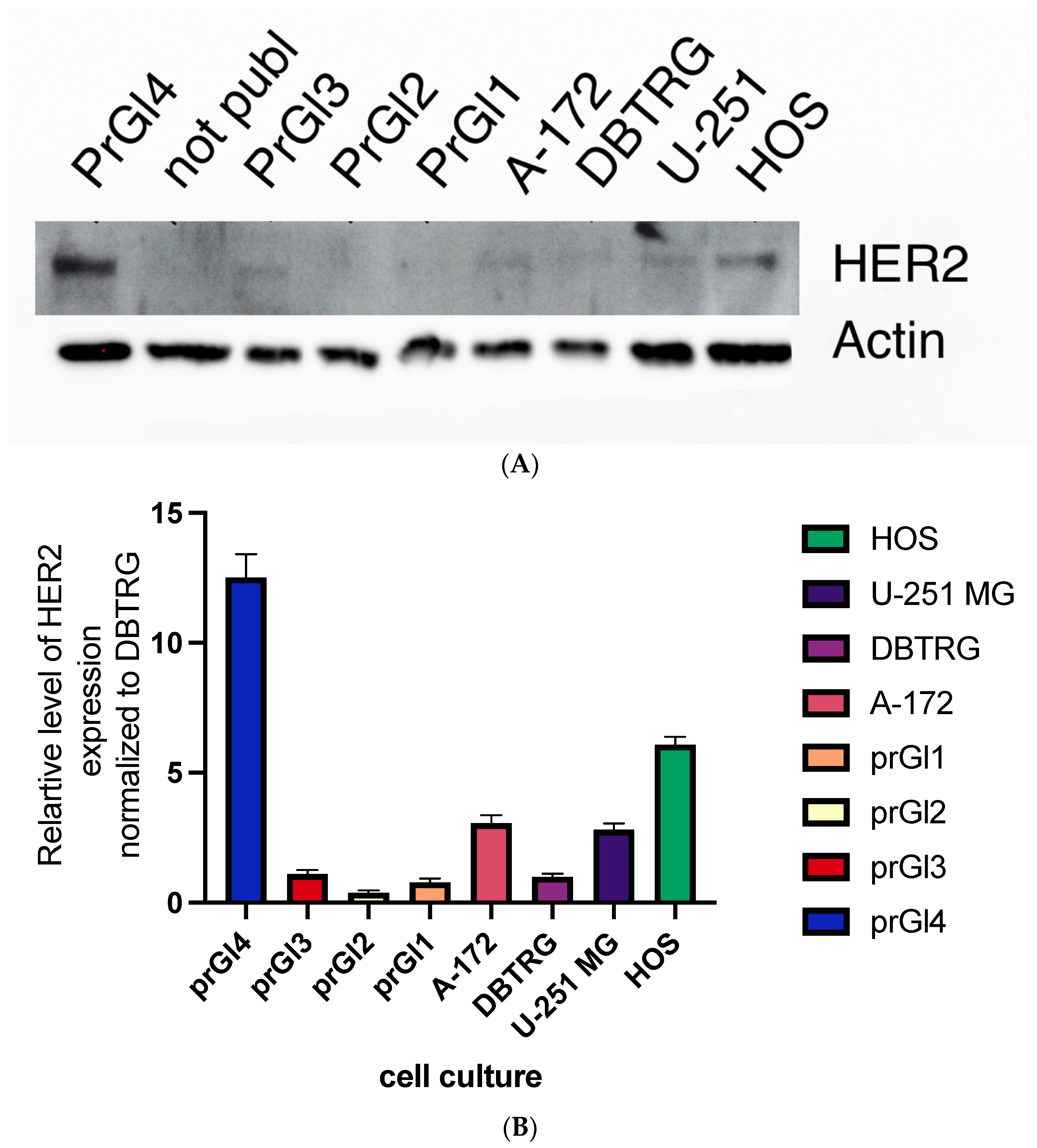 Ijms 23 05244 g009 550