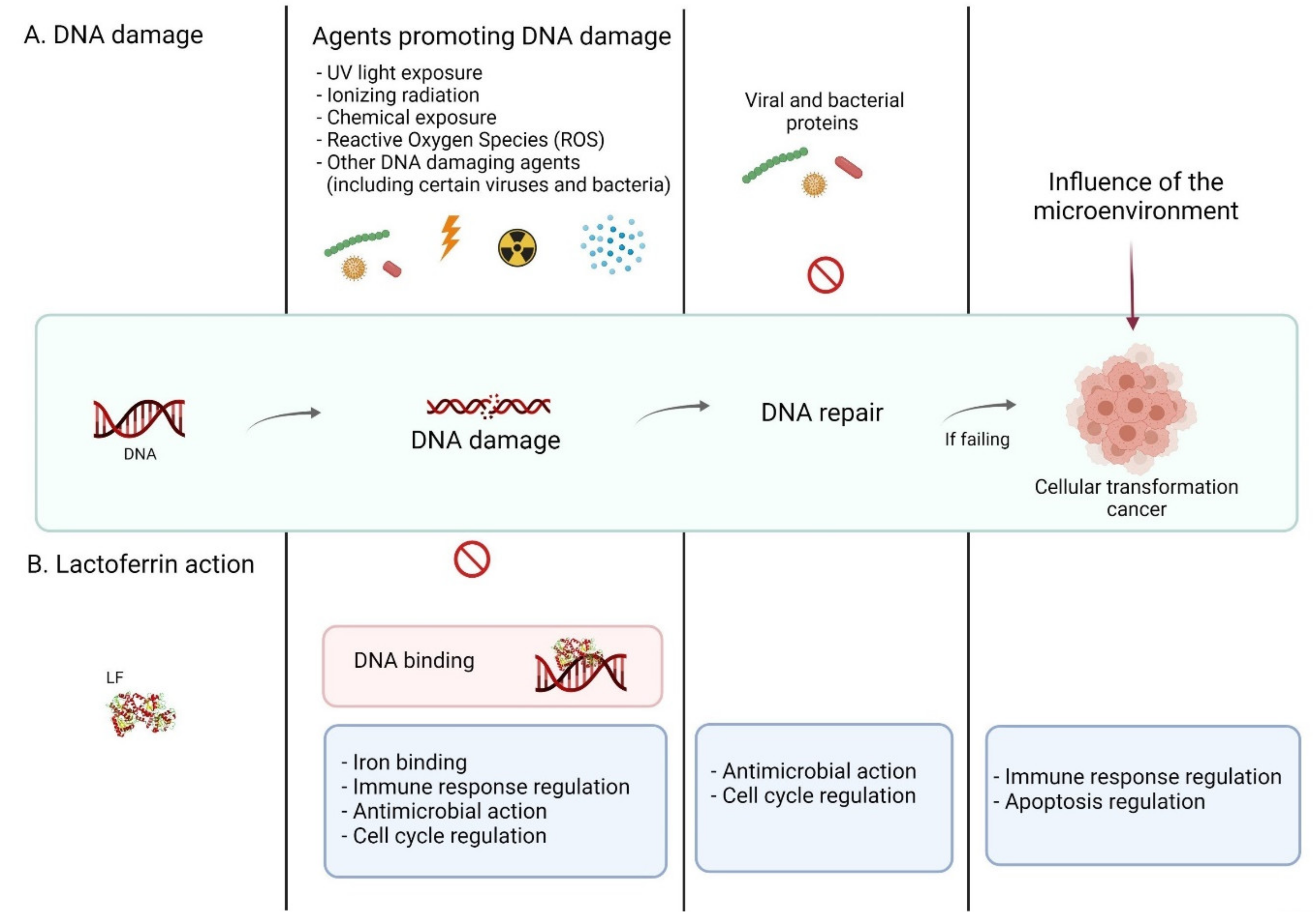 Ijms 23 05248 g002 Ijms 23 05248 g002