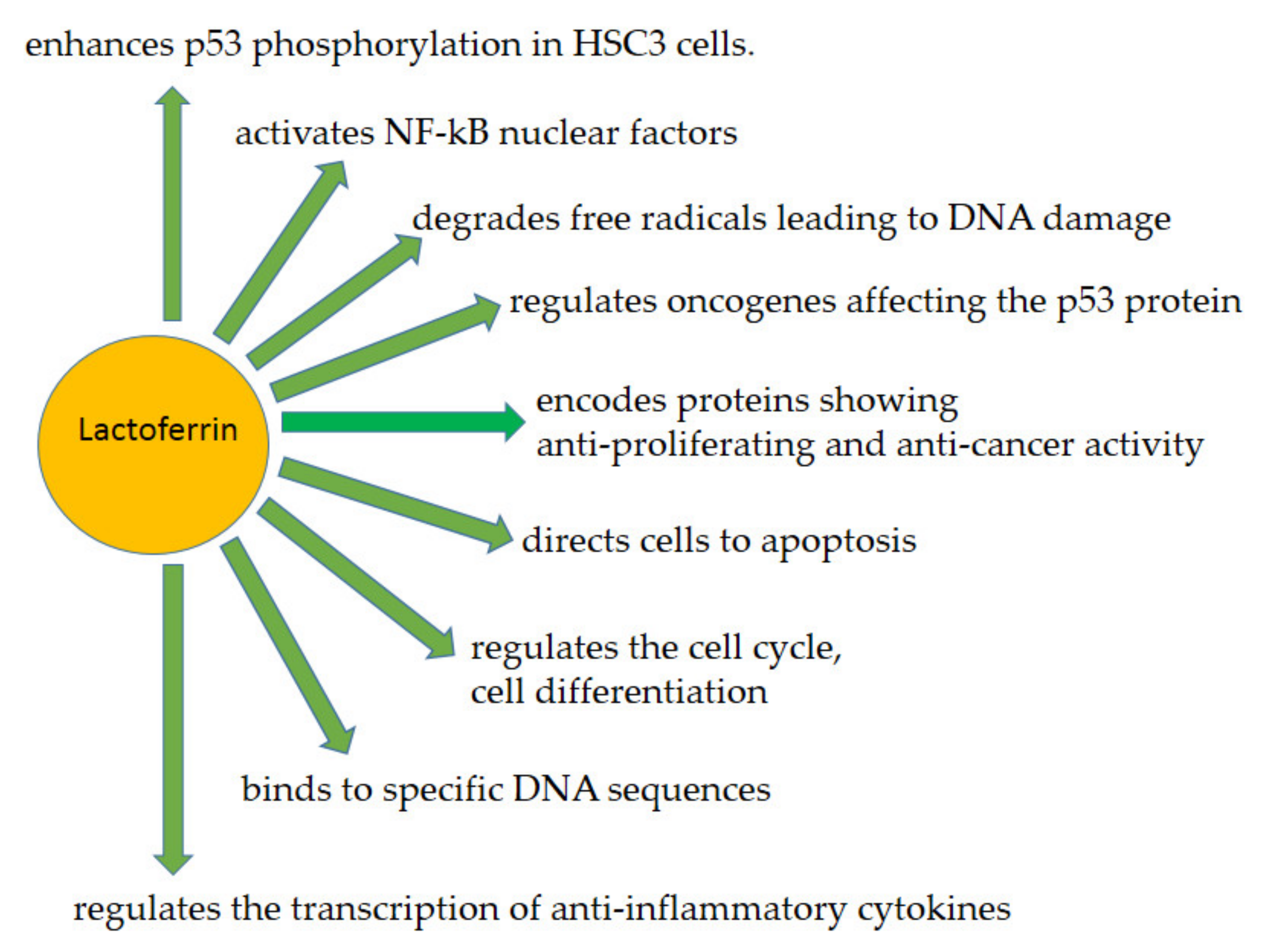 Ijms 23 05248 g003 Ijms 23 05248 g003