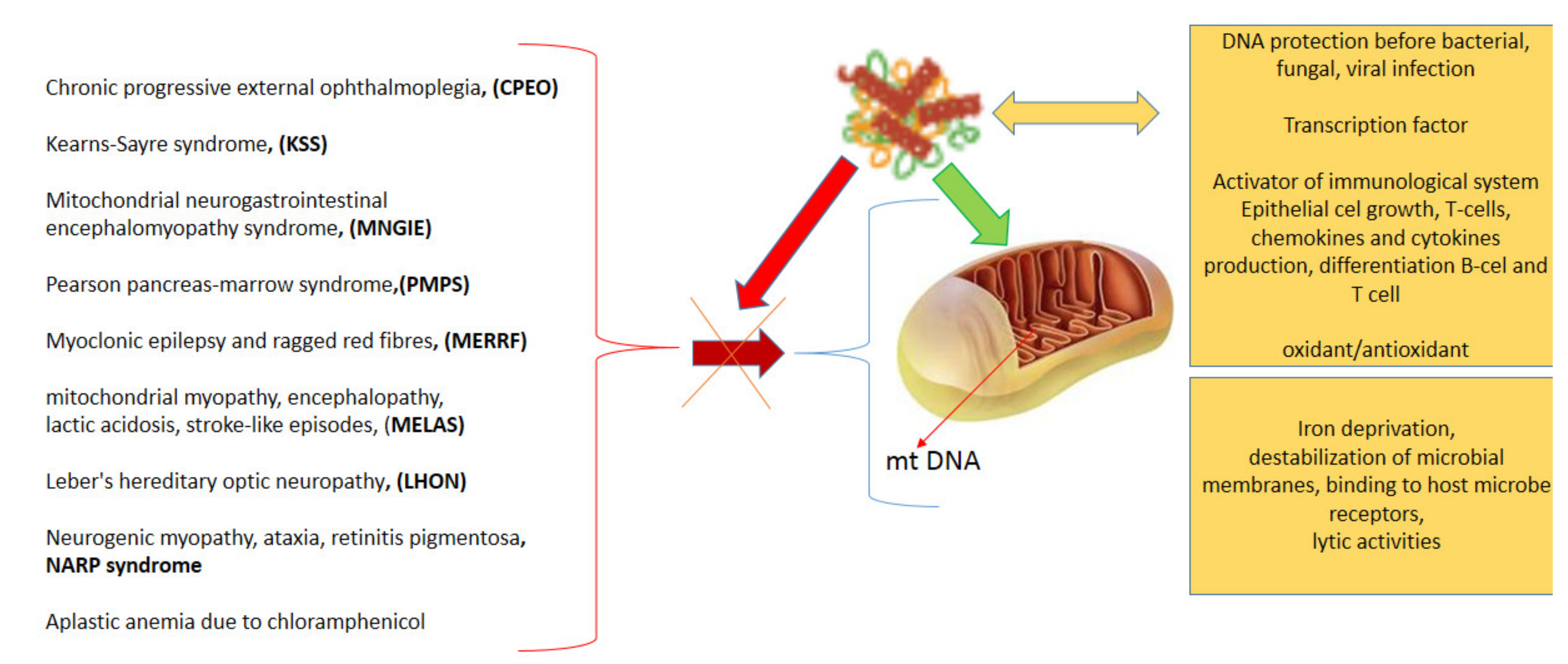 Ijms 23 05248 g004 Ijms 23 05248 g004
