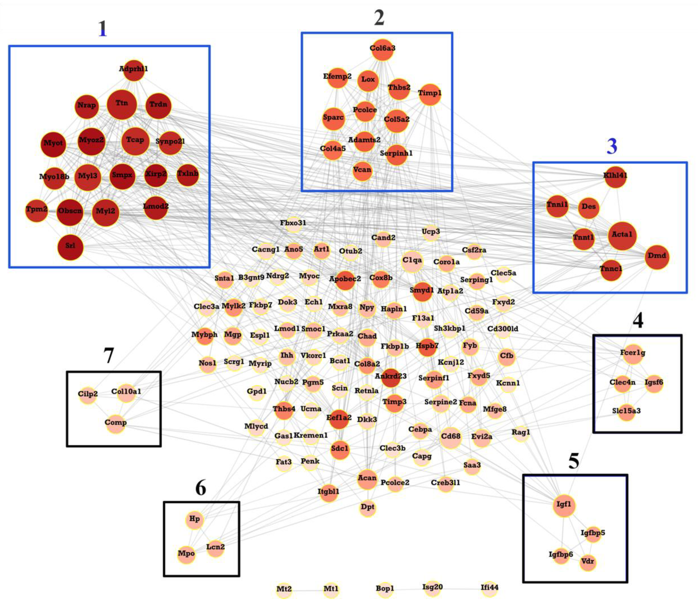 Ijms 23 05250 g005 Ijms 23 05250 g005