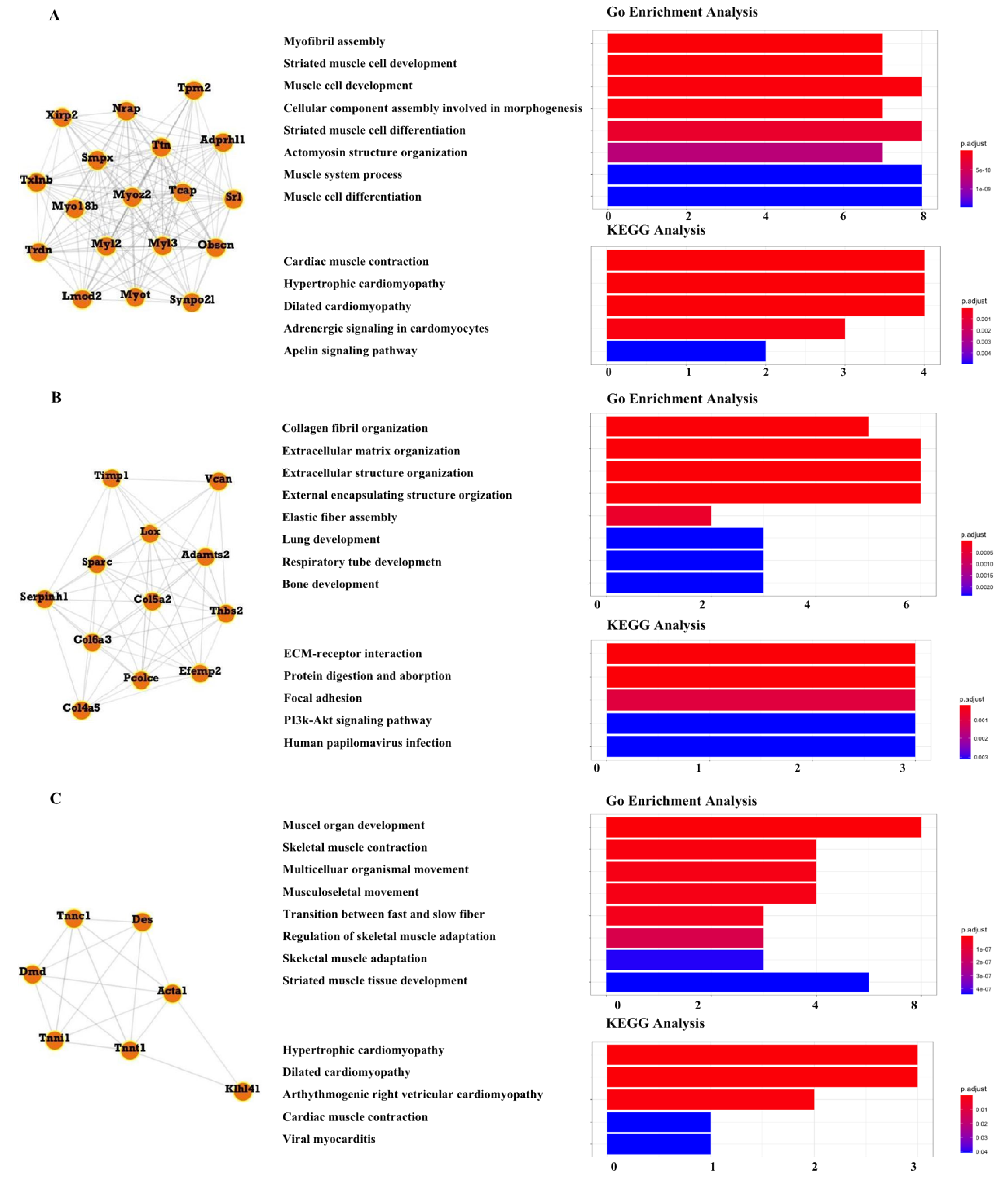 Ijms 23 05250 g006 Ijms 23 05250 g006