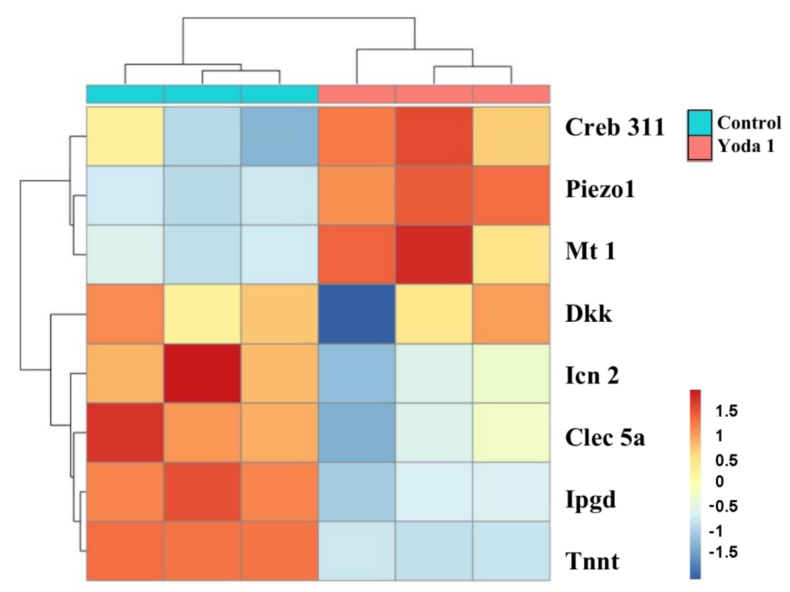Ijms 23 05250 g007 Ijms 23 05250 g007