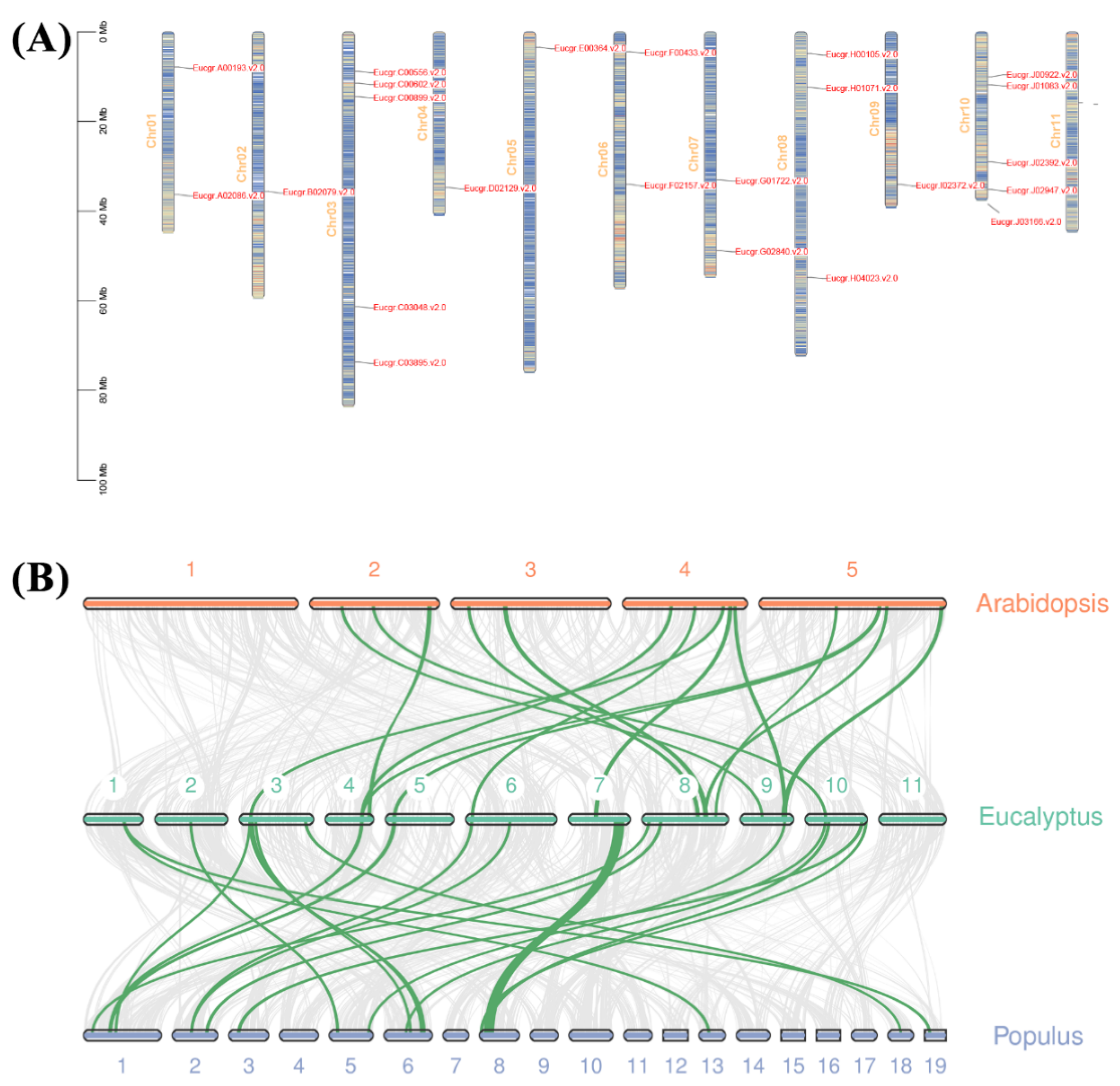 Ijms 23 05251 g004 550