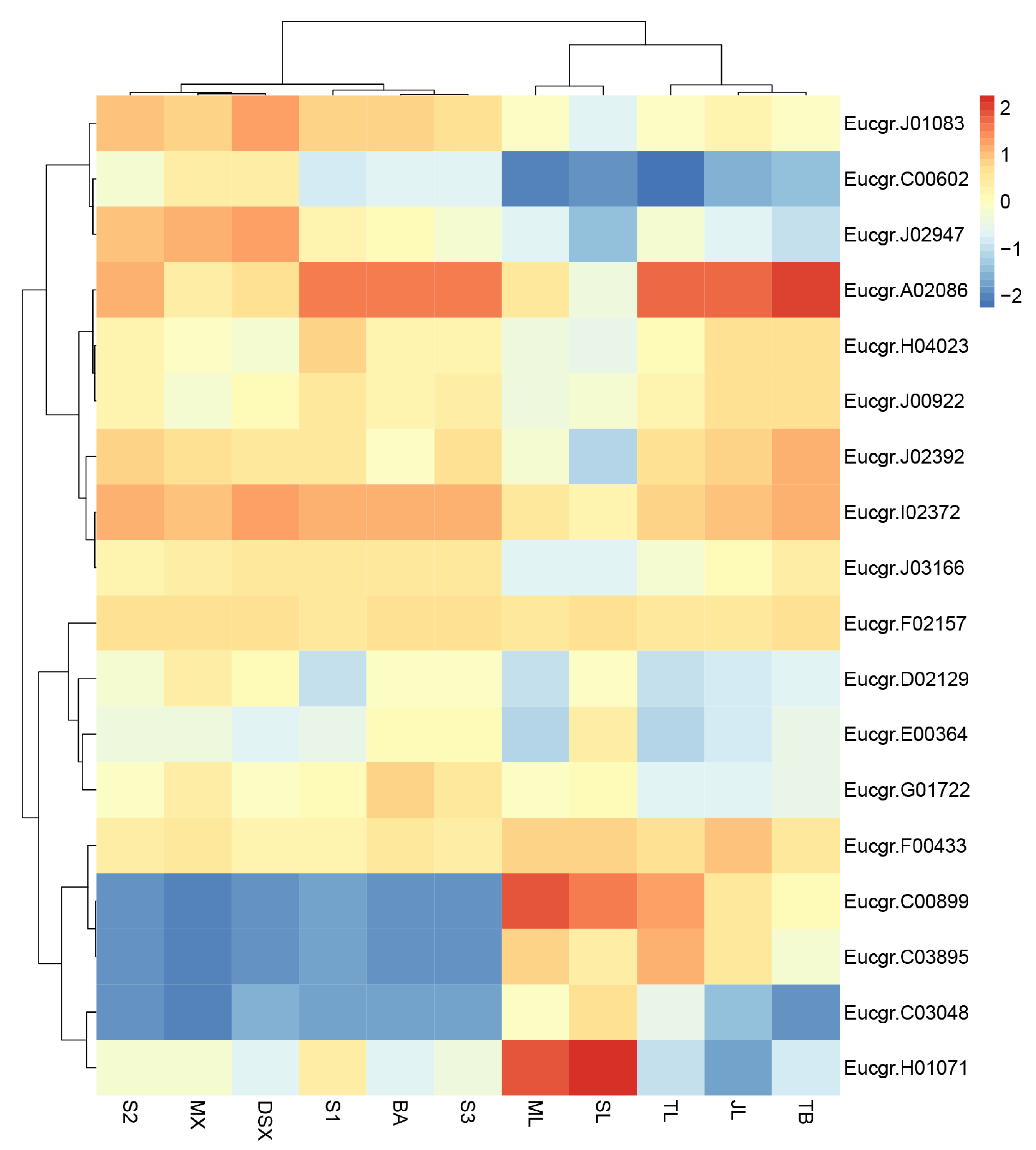 Ijms 23 05251 g005 550