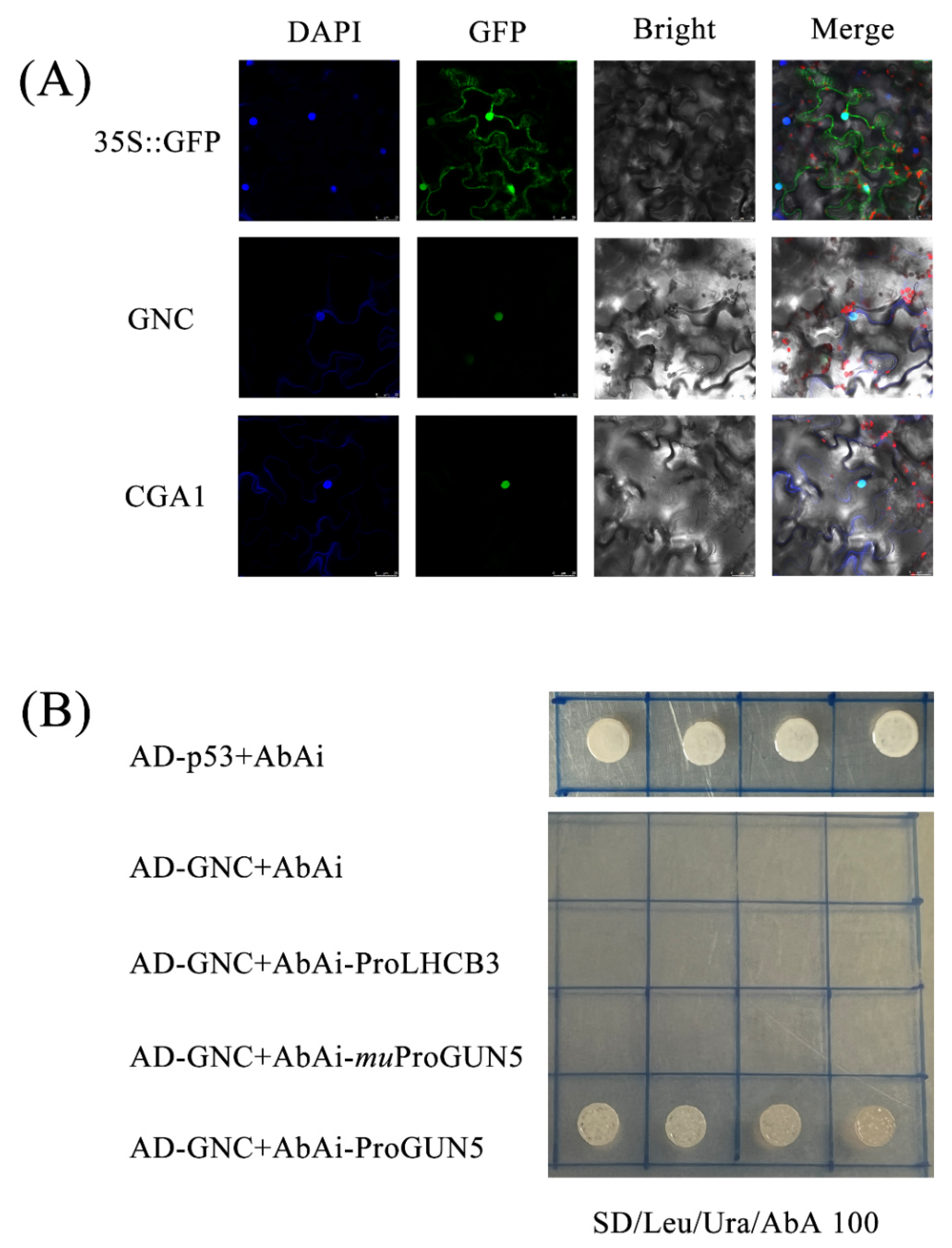 Ijms 23 05251 g007 550