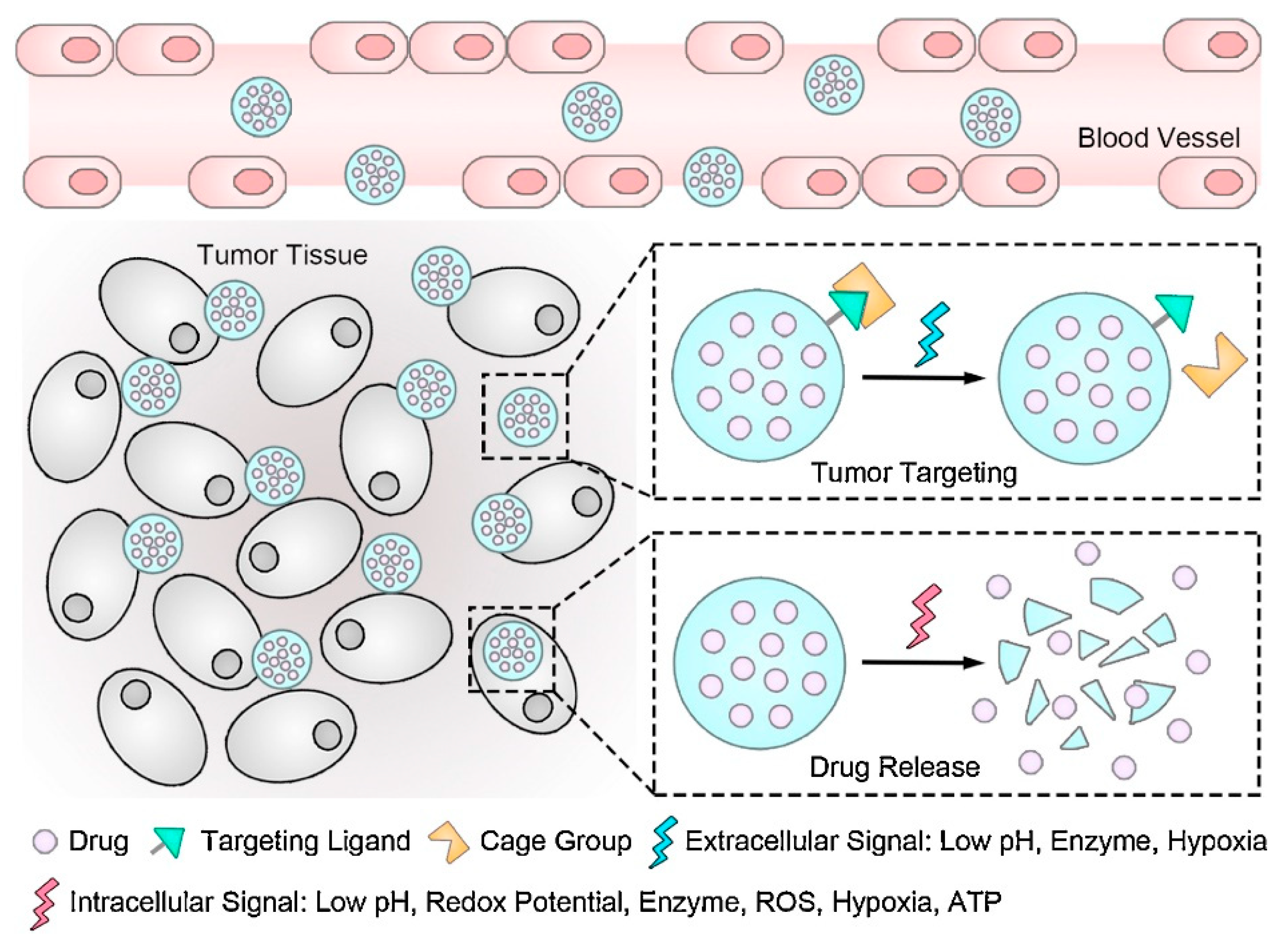 Ijms 23 05253 g002 Ijms 23 05253 g002