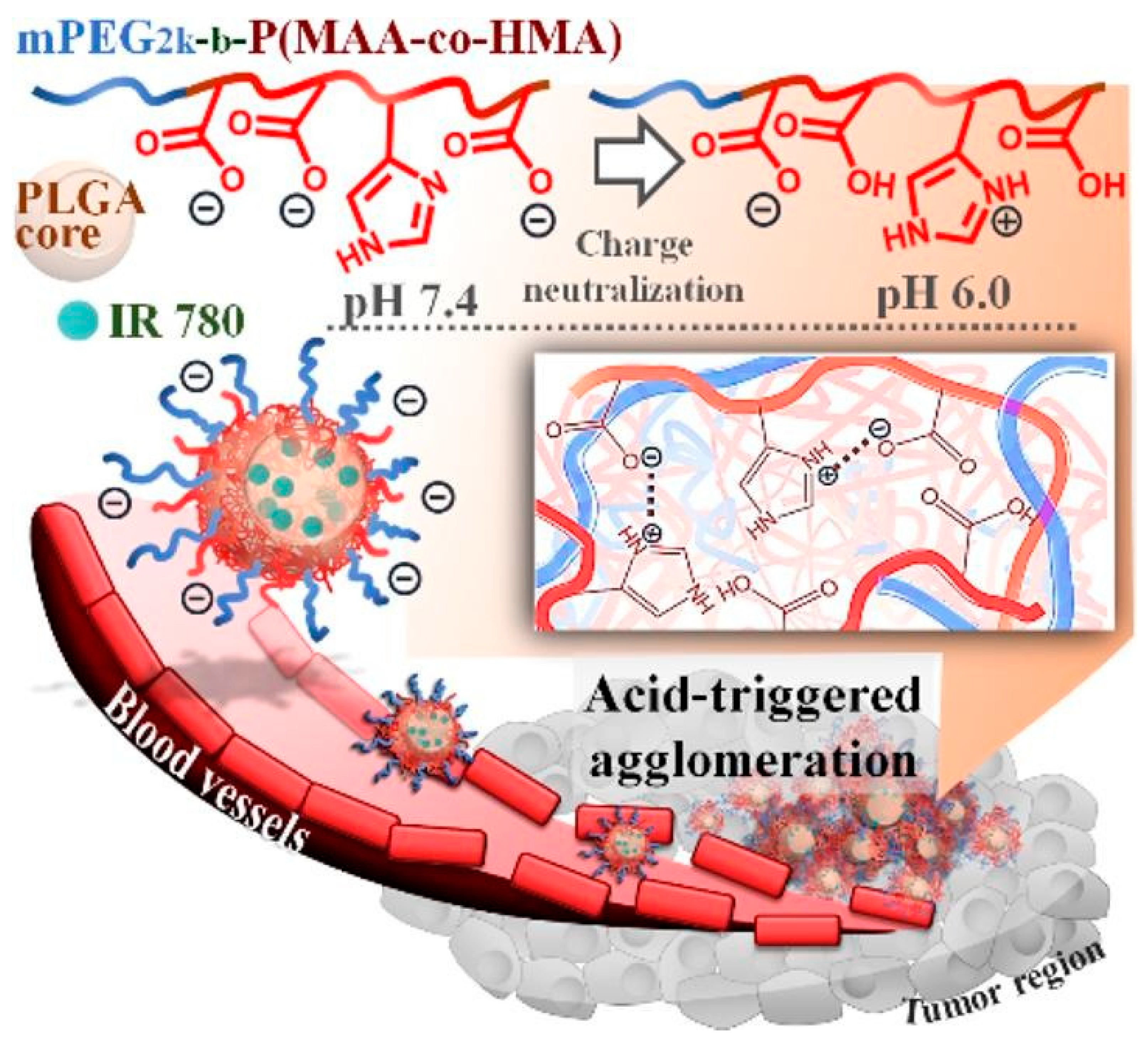 Ijms 23 05253 g008 Ijms 23 05253 g008