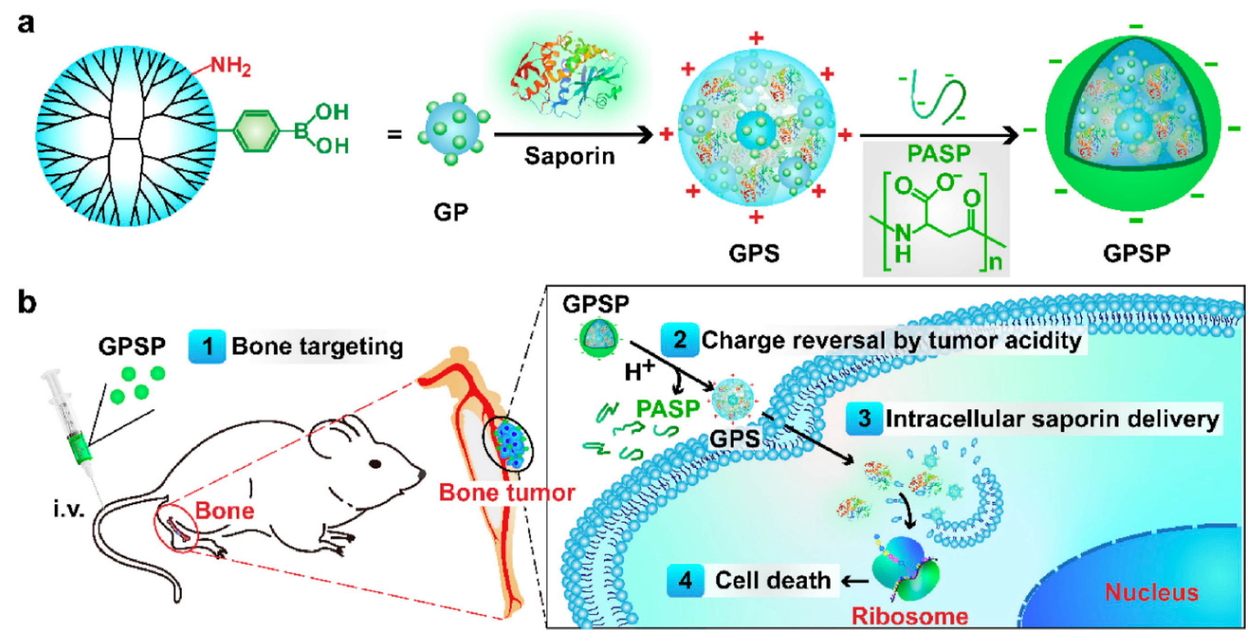 Ijms 23 05253 g009 Ijms 23 05253 g009