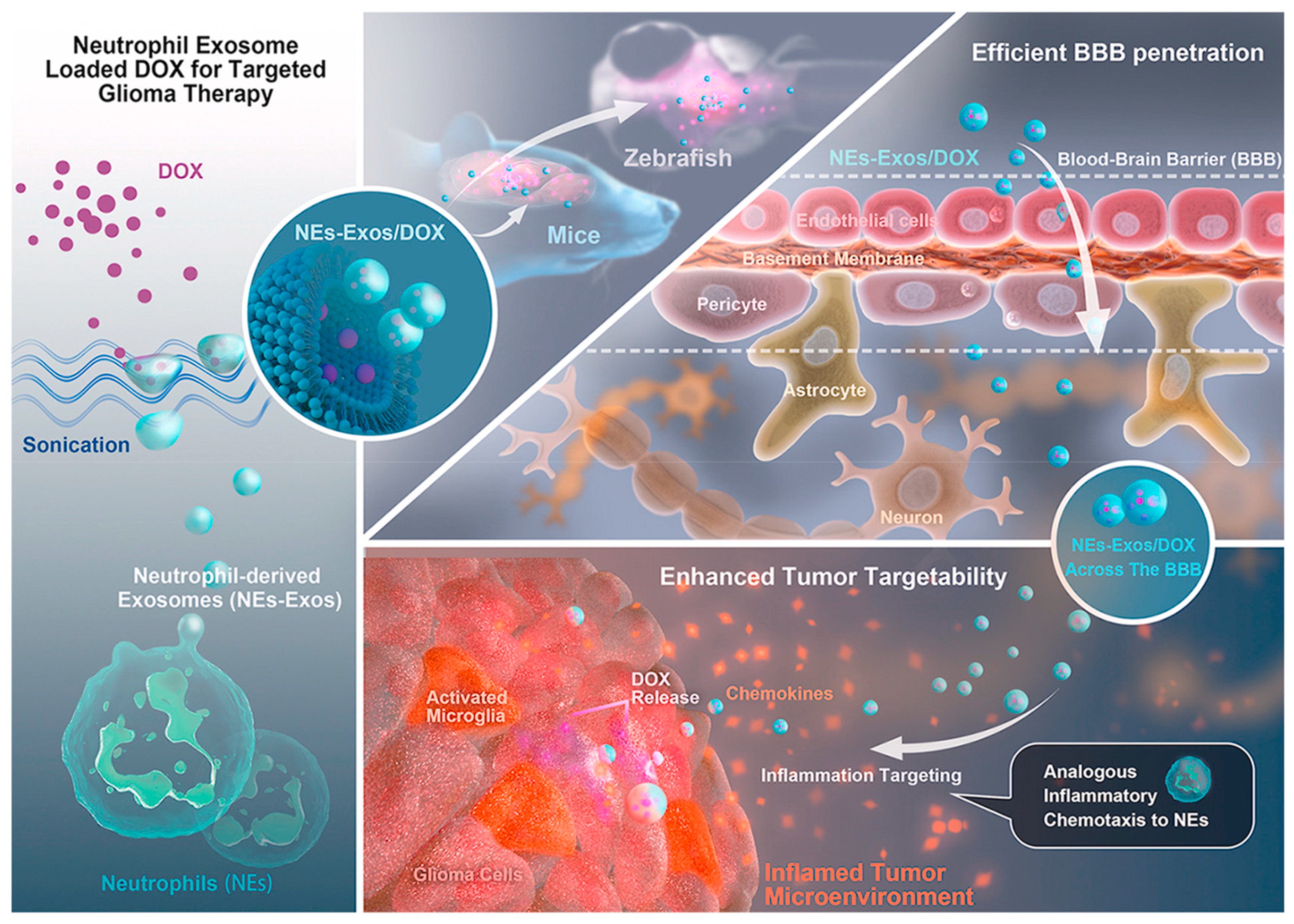 Ijms 23 05253 g013 Ijms 23 05253 g013