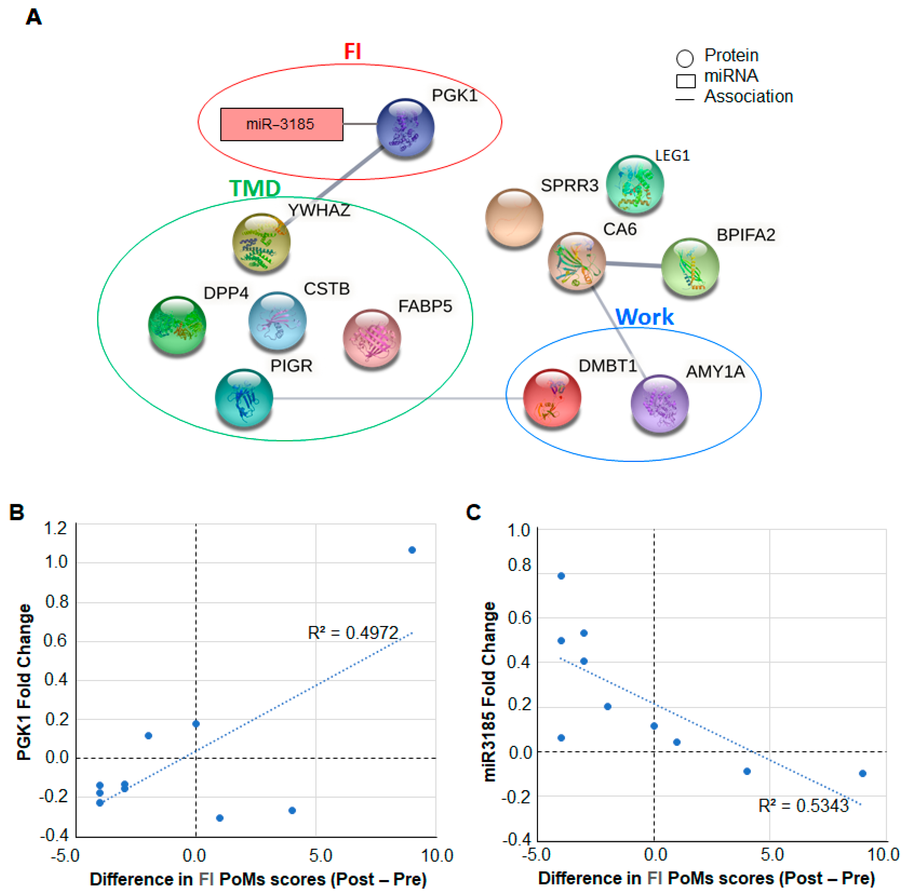 Ijms 23 05257 g004 Ijms 23 05257 g004