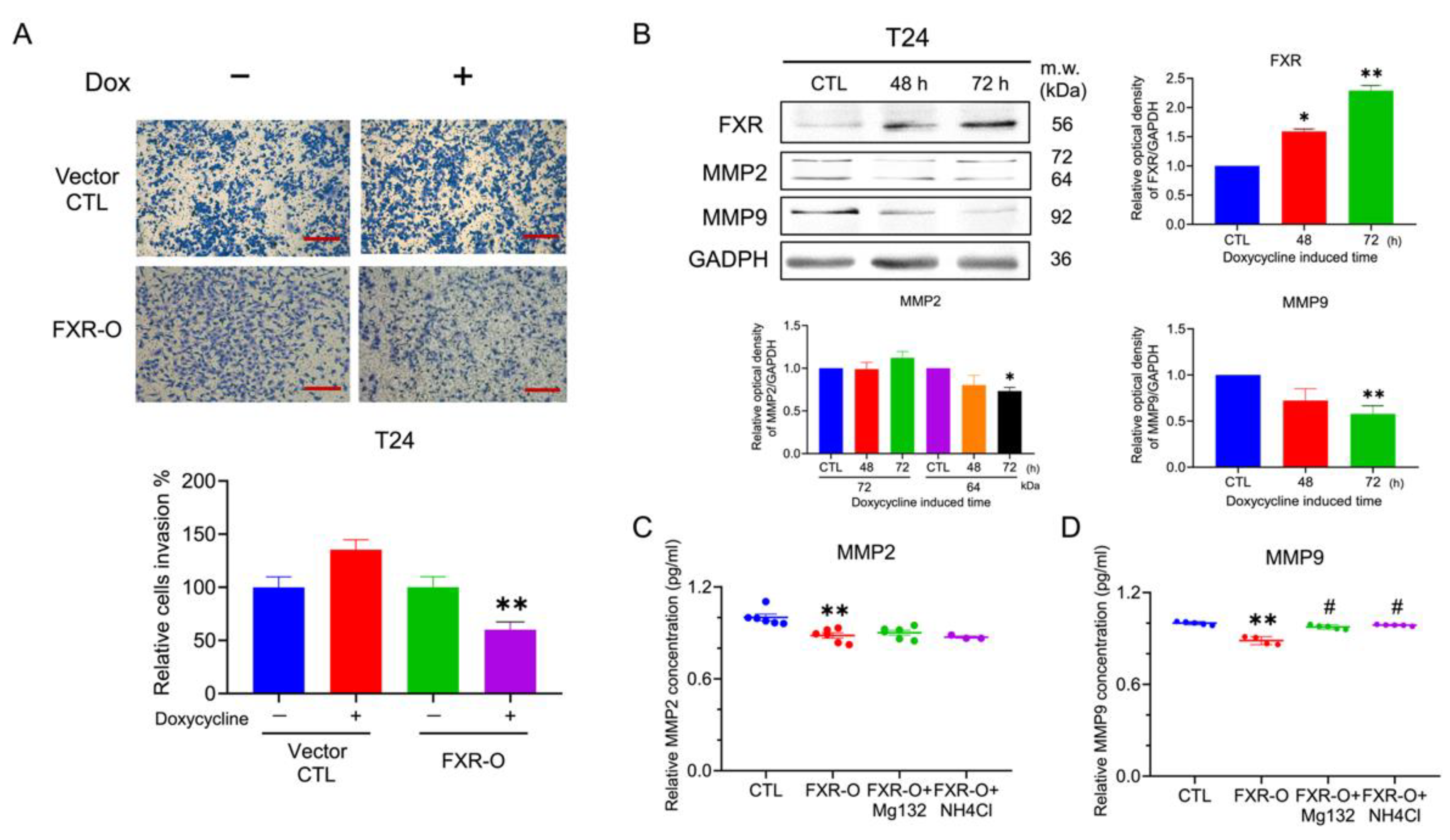 Ijms 23 05259 g006 550